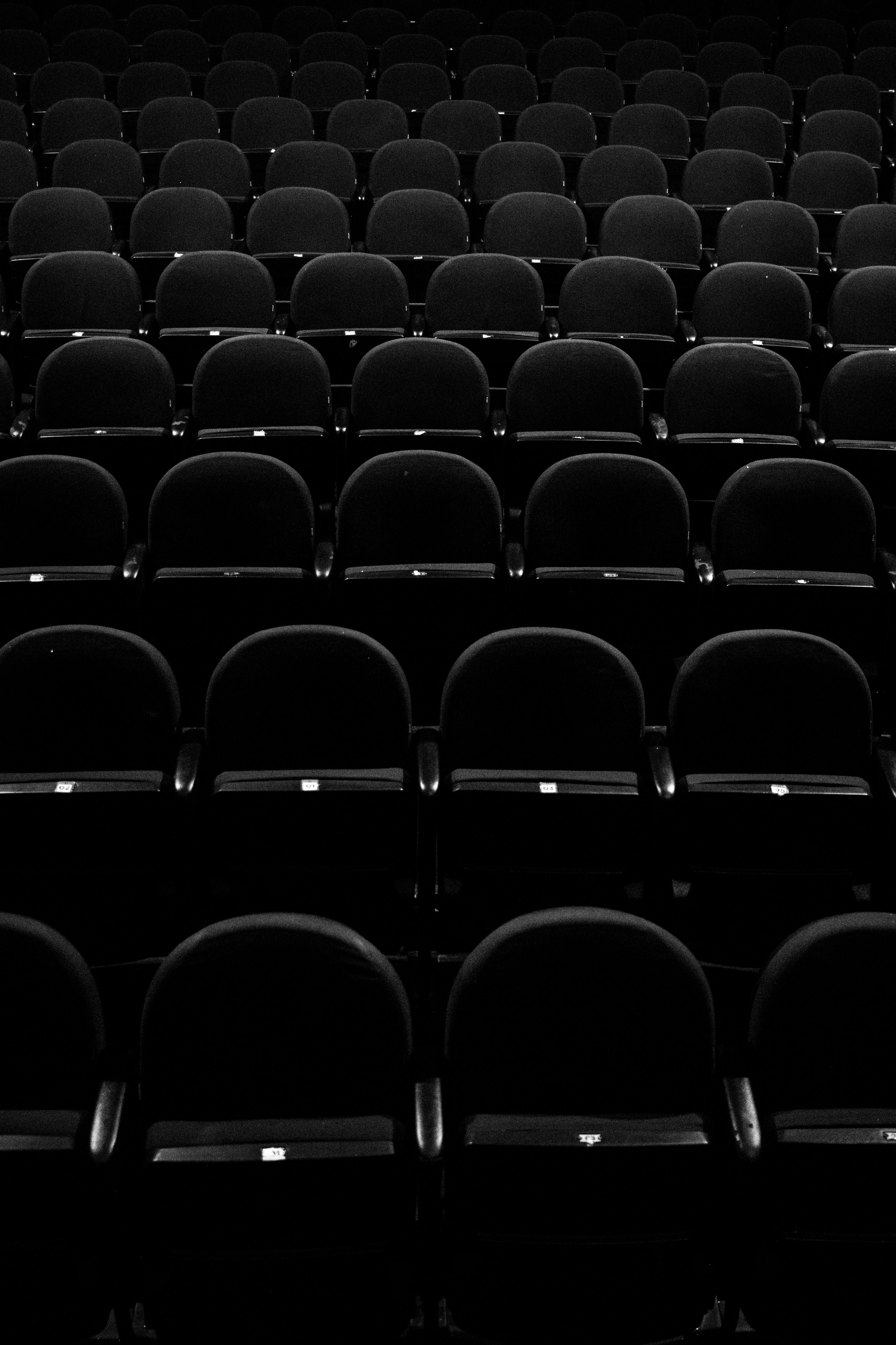 Gratis Foto hitam putih minimalis yang menampilkan kursi-kursi teater kosong yang disusun berderet. Foto Stok