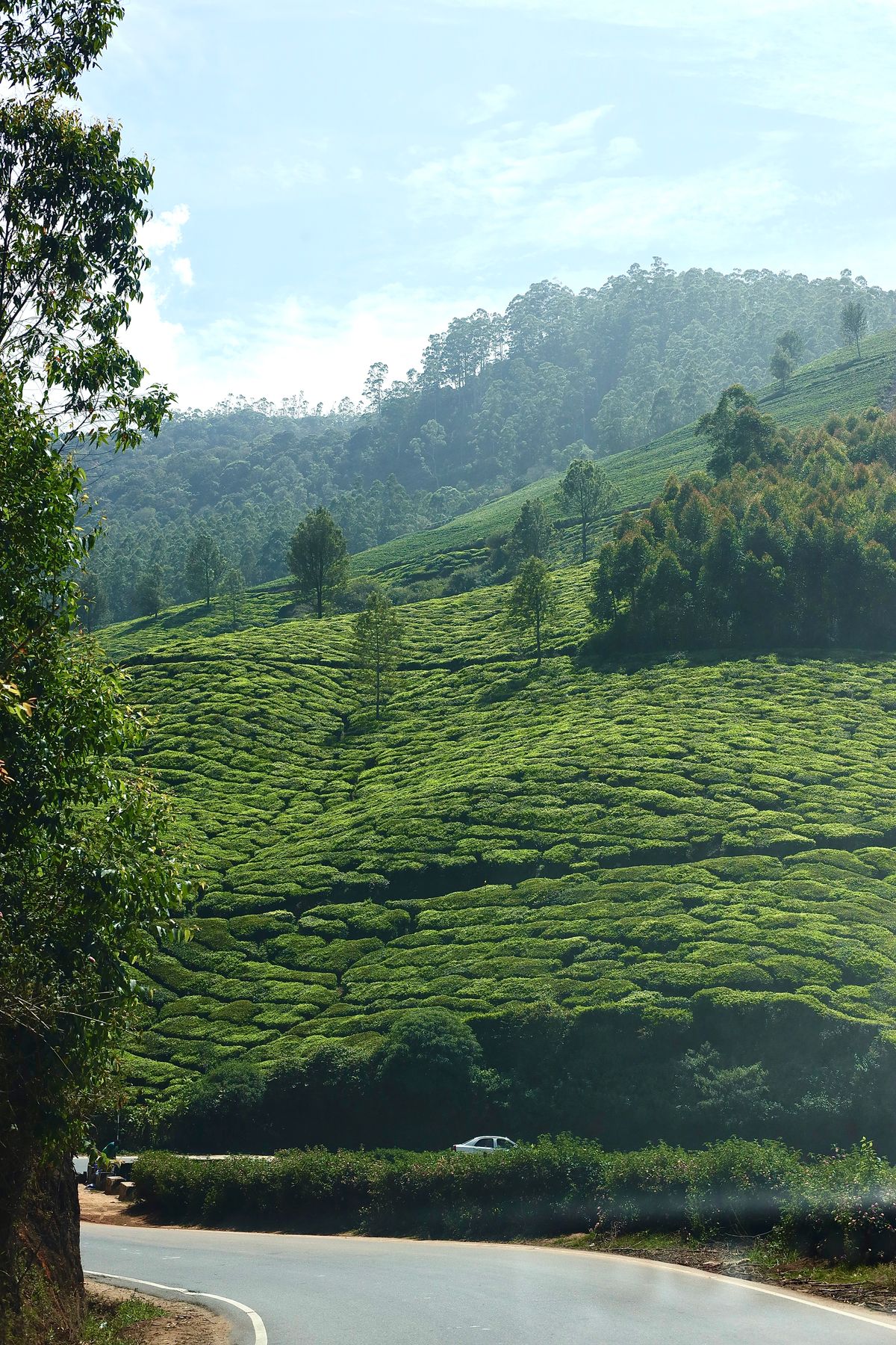 Munnar