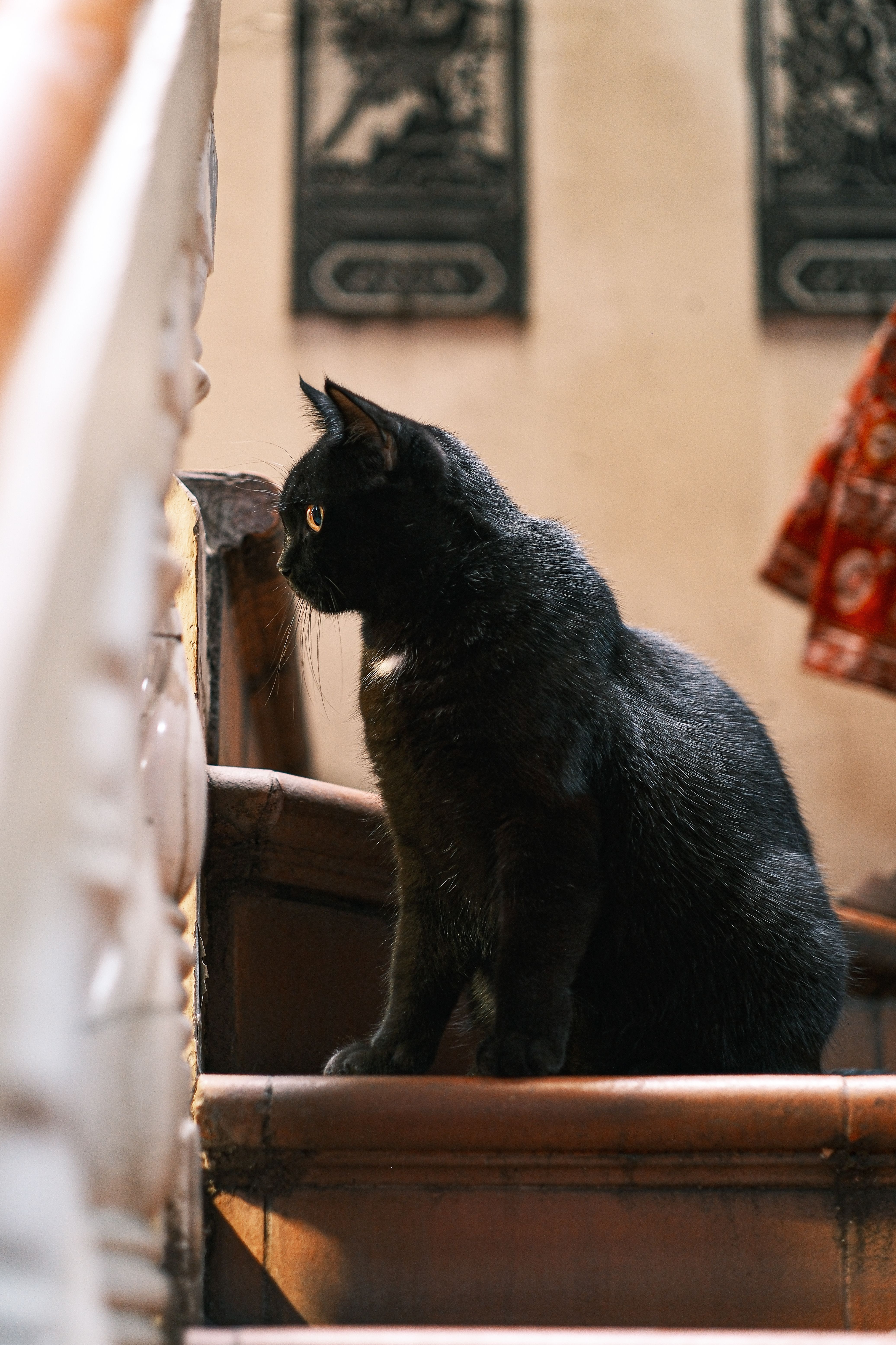 grátis Um charmoso gato preto sentado em uma escada de madeira dentro de casa, aproveitando a luz suave. Foto profissional