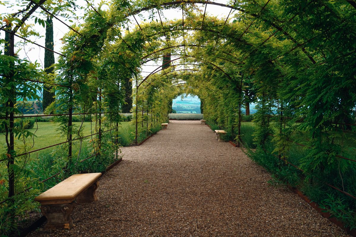 Arche de jardin : on vous dit tout - Où placer une arche dans son jardin ?