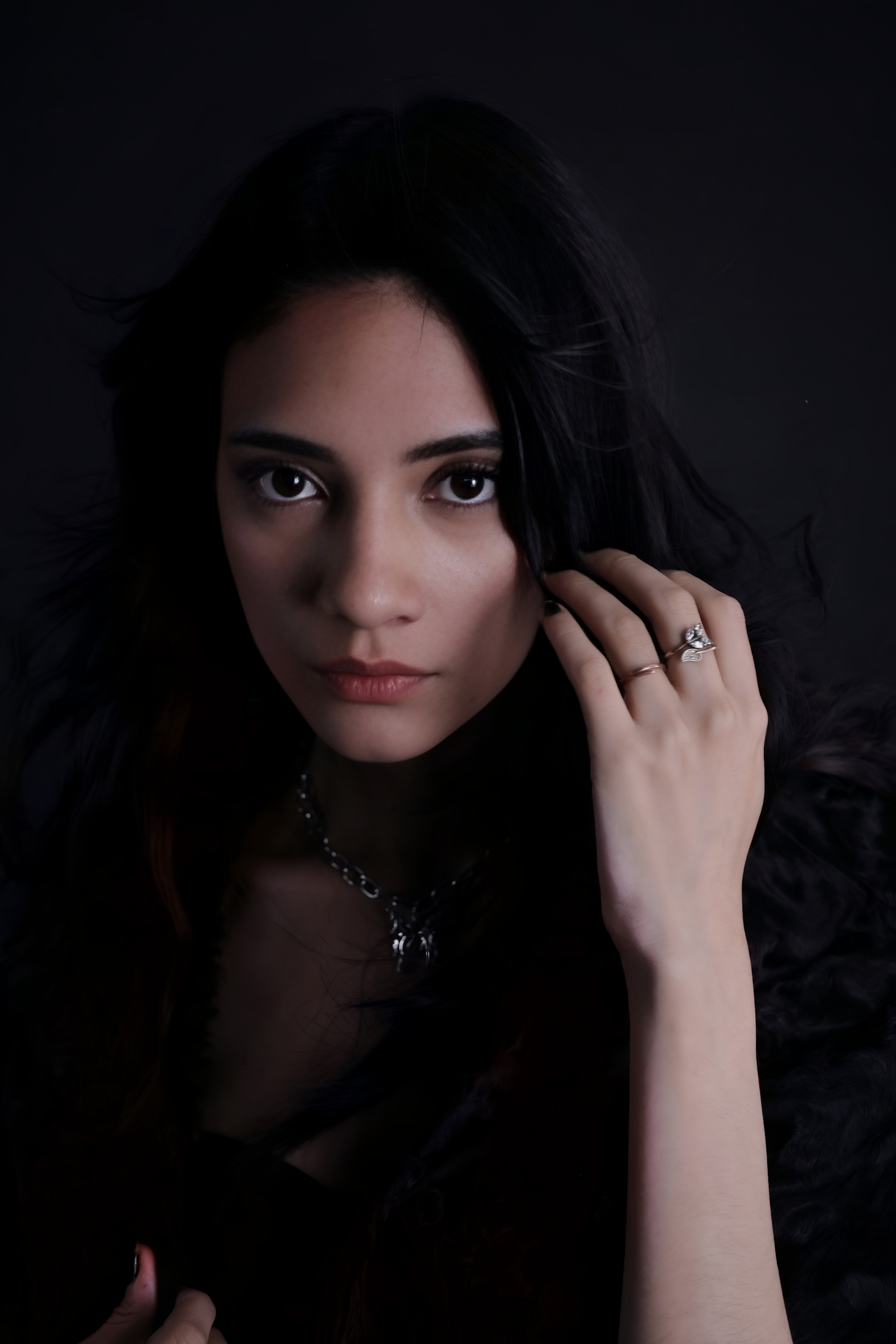 Elegant Portrait of a Young Woman in Dim Light · Free Stock Photo