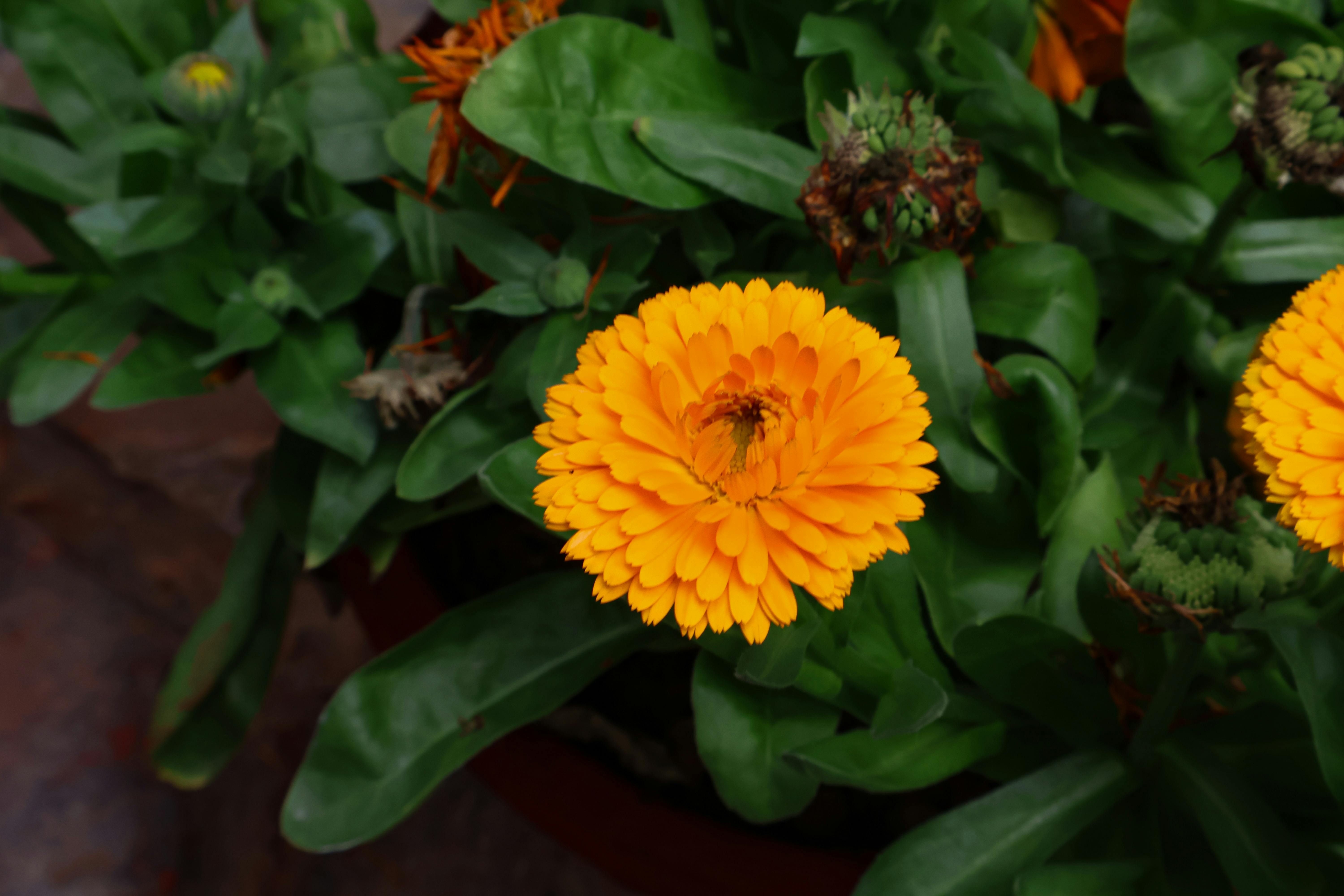 Airport transfers in Ishikawa Prefecture