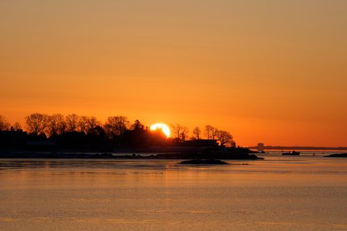 Free Captivating sunrise over Cove Island Park in Stamford, Connecticut, featuring a serene winter landscape. Stock Photo