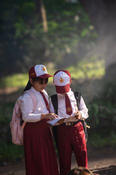 Two children in matching school uniforms reading a book outdoors in natural light.
