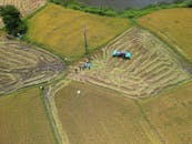 Aerial View of Rice Fields in Cam Lâm, Vietnam
