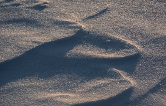 Close-up of a textured snow surface with morning shadows, creating an abstract pattern.