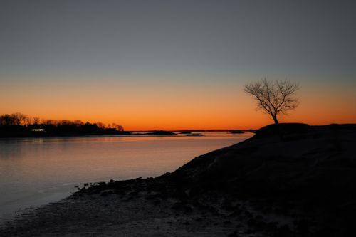 Free Serene view of a calm lake at sunset, featuring a lone silhouetted tree against a vibrant orange sky. Stock Photo