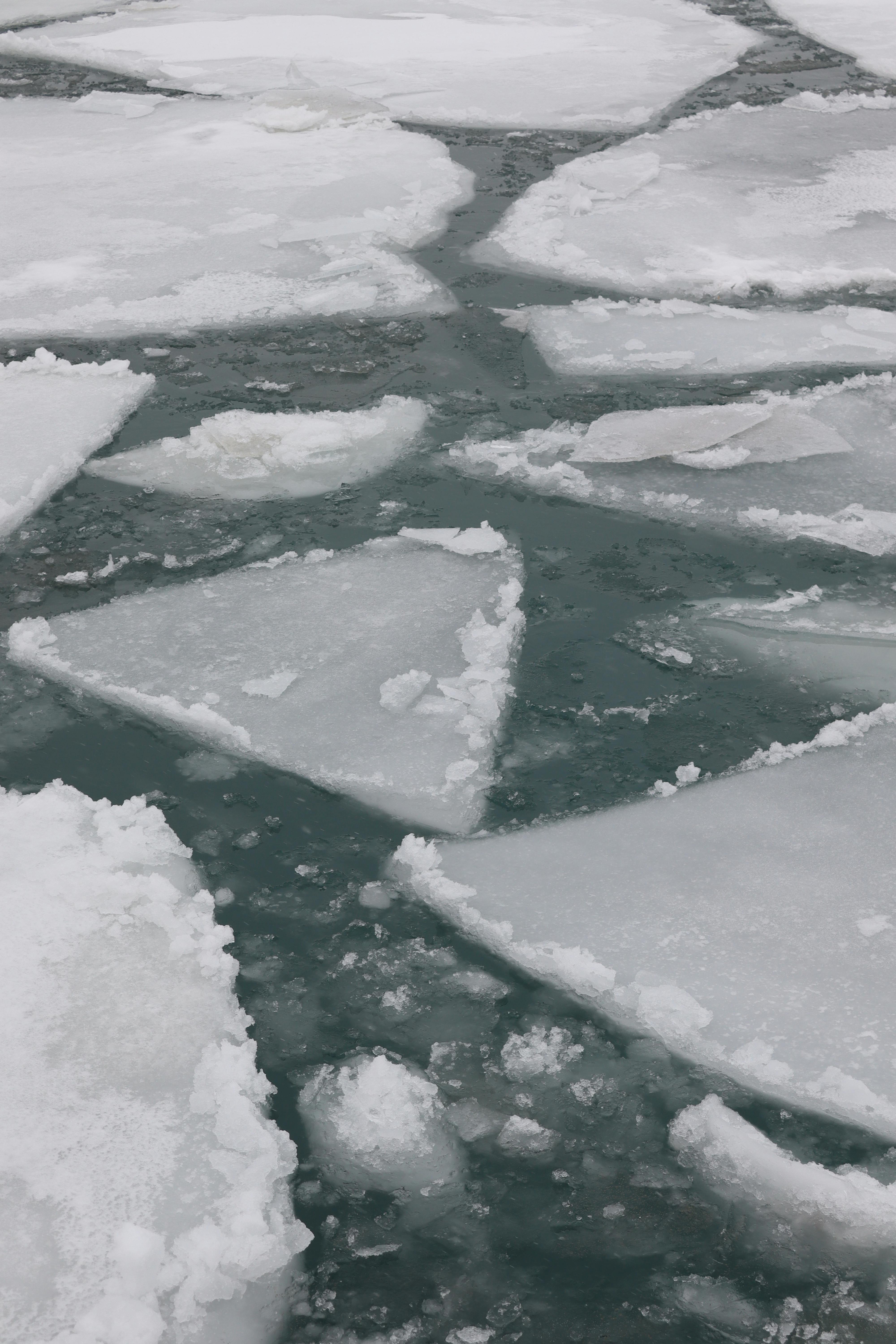 Безкоштовне Пласти плавучого льоду на холодній поверхні океану, що зображують зимові пейзажі та природну красу. стокове фото