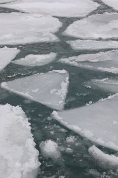 Sheets of floating ice on a cold ocean surface, depicting winter scenery and natural beauty.