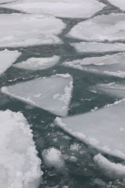 Sheets of floating ice on a cold ocean surface, depicting winter scenery and natural beauty.