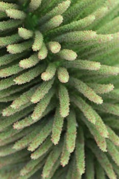 Detailed macro image of a vibrant green plant surface showing intricate textures.