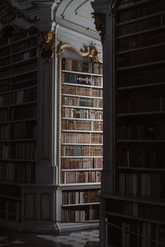 A beautifully lit view of an antique library featuring gold accents and rare books.