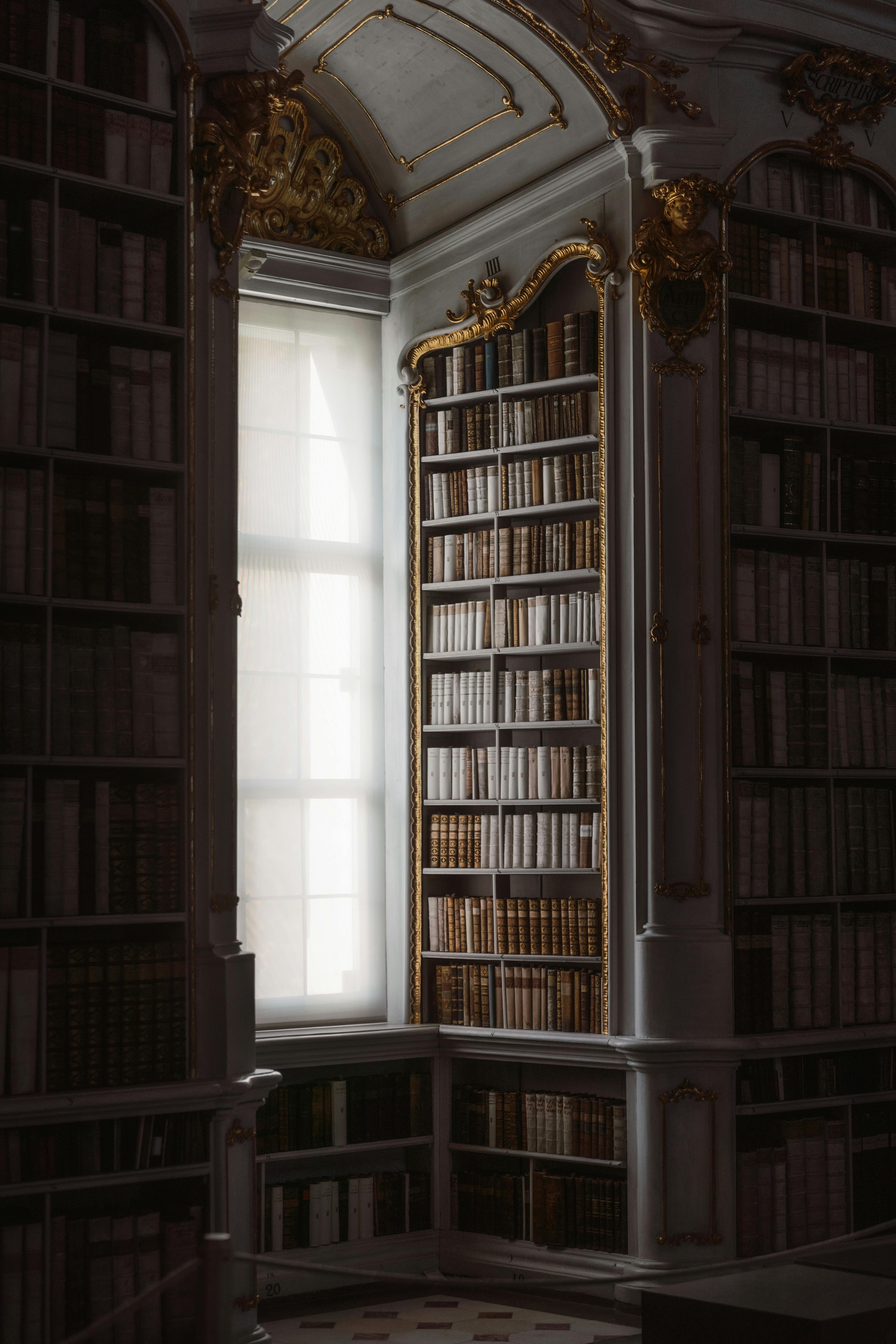 Gratuit Un colț de bibliotecă liniștit, cu decor rococo și rafturi clasice, cu lumină ambientală care pătrunde printr-o fereastră. Fotografie de stoc