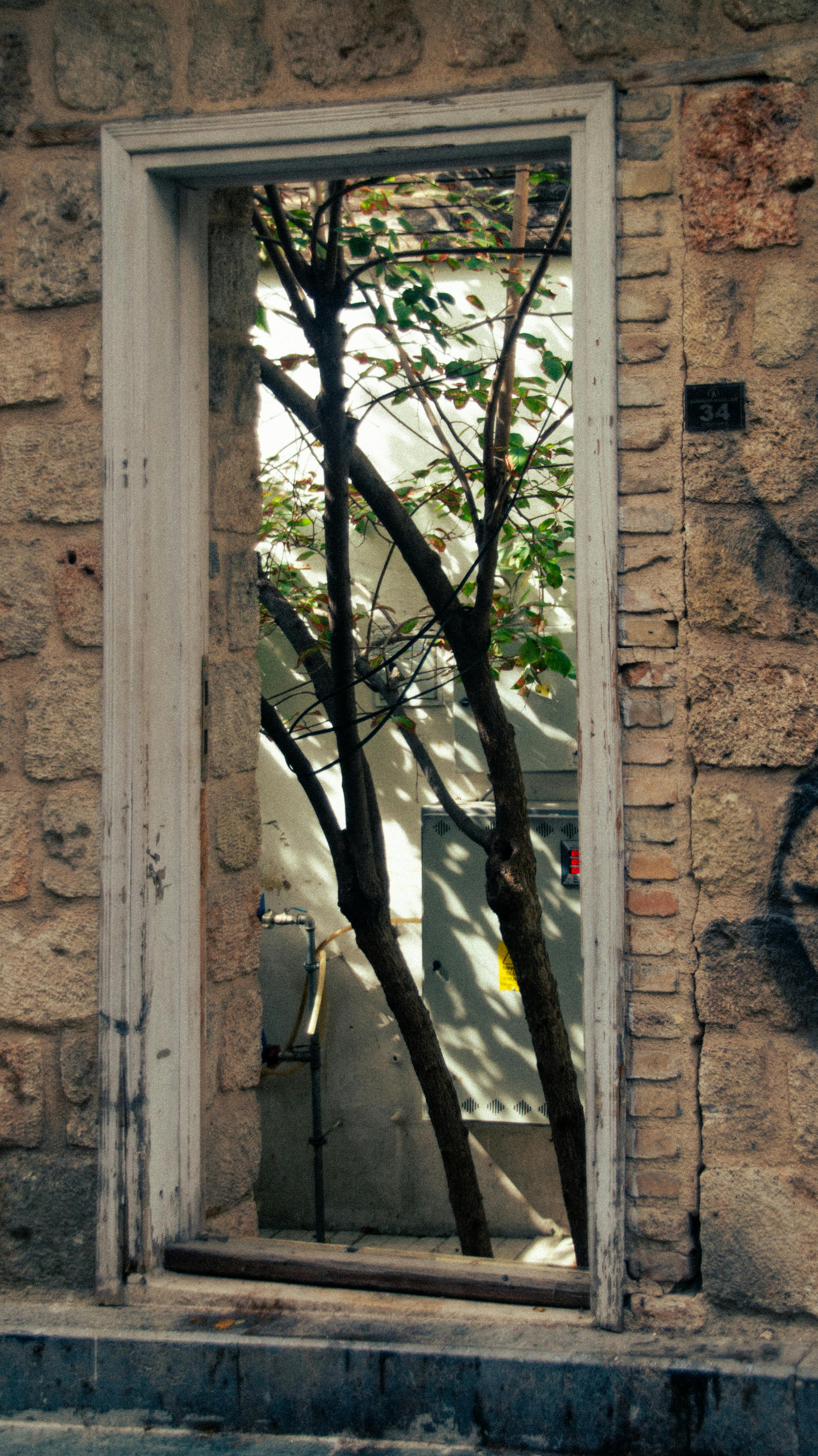Free A rustic stone wall with an open doorway revealing a tree outside. Stock Photo