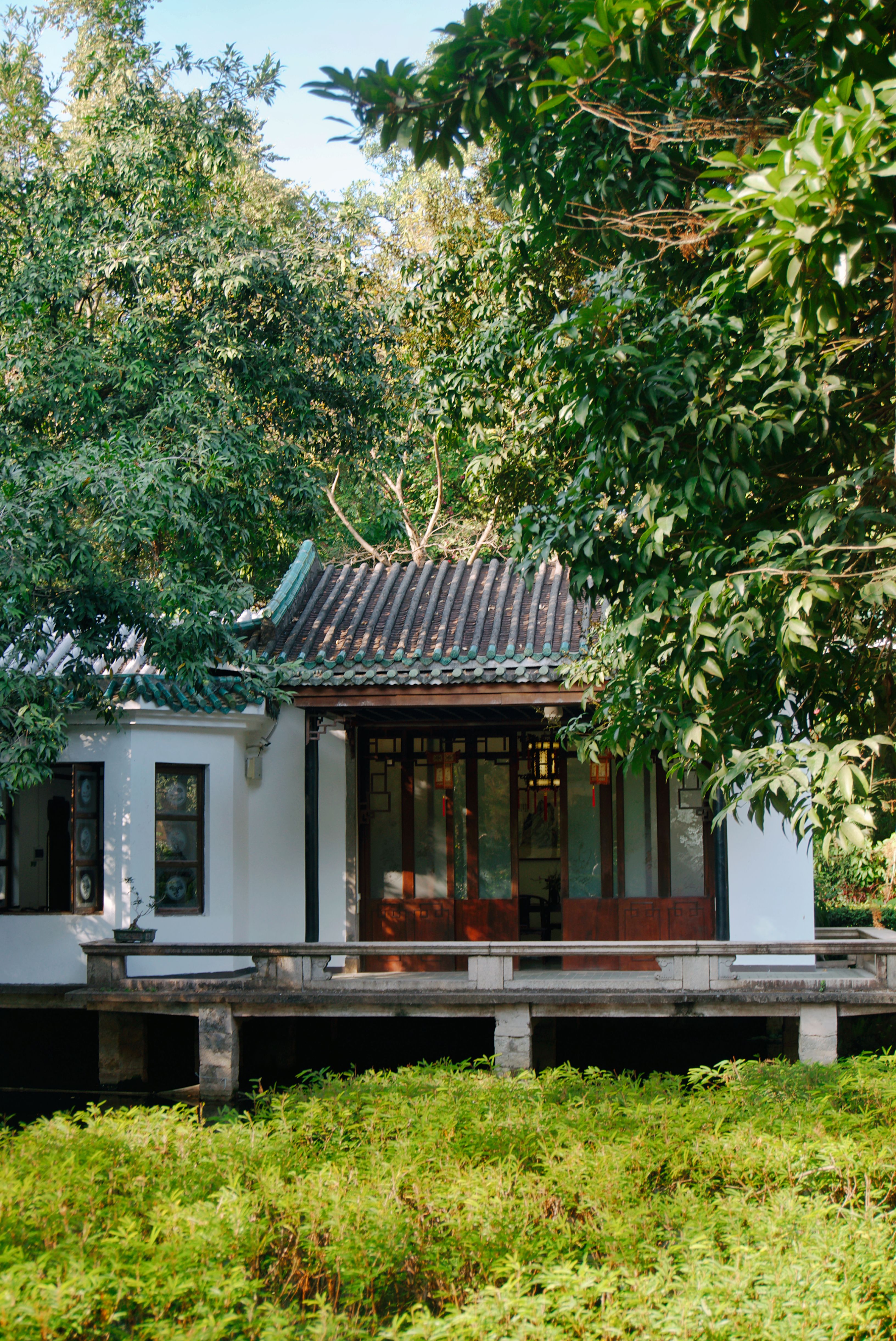 Traditional Asian house nestled in lush greenery · Free Stock Photo