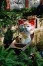 Colorful Maneki-Neko in a Canoe on a Pond