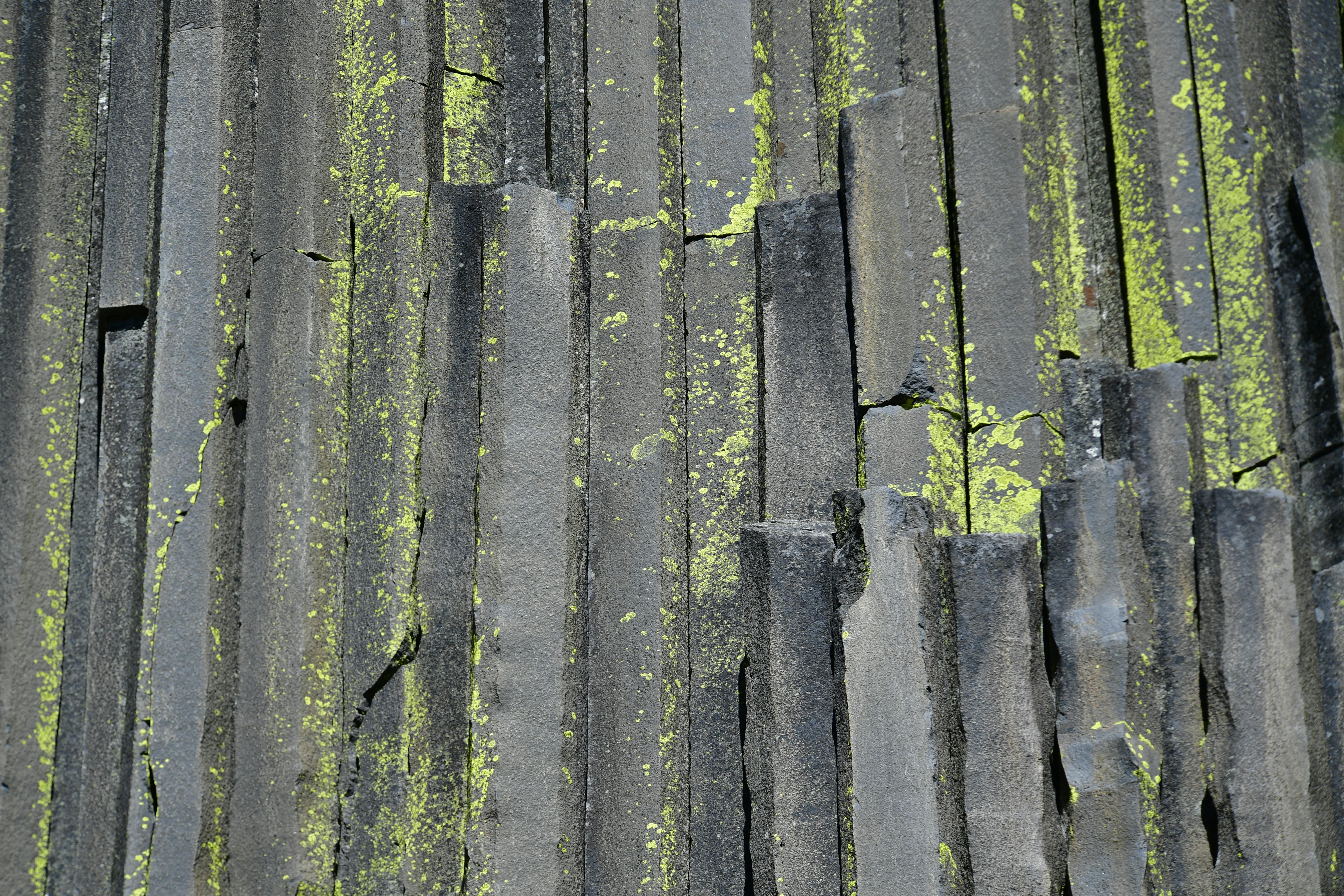 grátis Vista aproximada de colunas de basalto únicas com musgo verde no Condado de Mono, Califórnia. Foto profissional