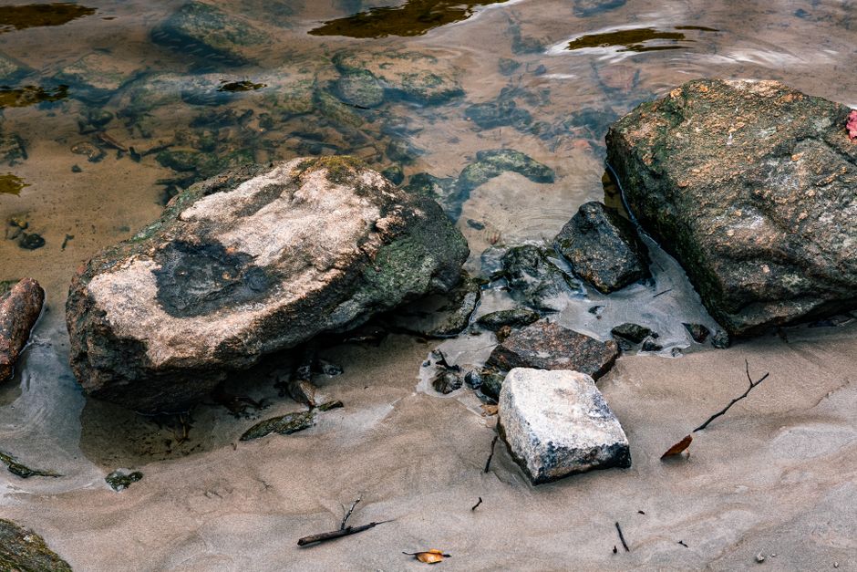 Quiet creek bank in the Texas Hill Country