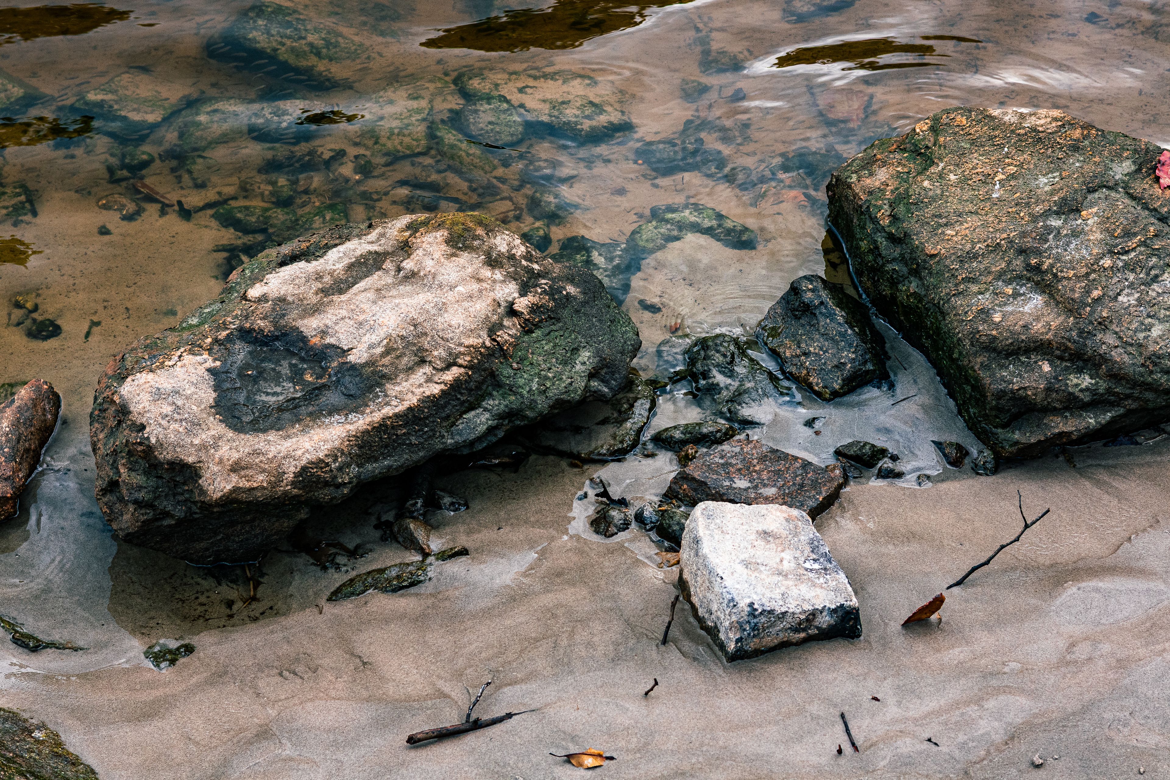 Tranquil Riverbank with Rocks and Ripples · Free Stock Photo