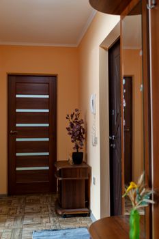 A stylish hallway featuring wooden doors, decorative plants, and warm lighting in a modern home.