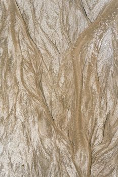Close-up of natural sand formations on a beach, showcasing unique textures and patterns.