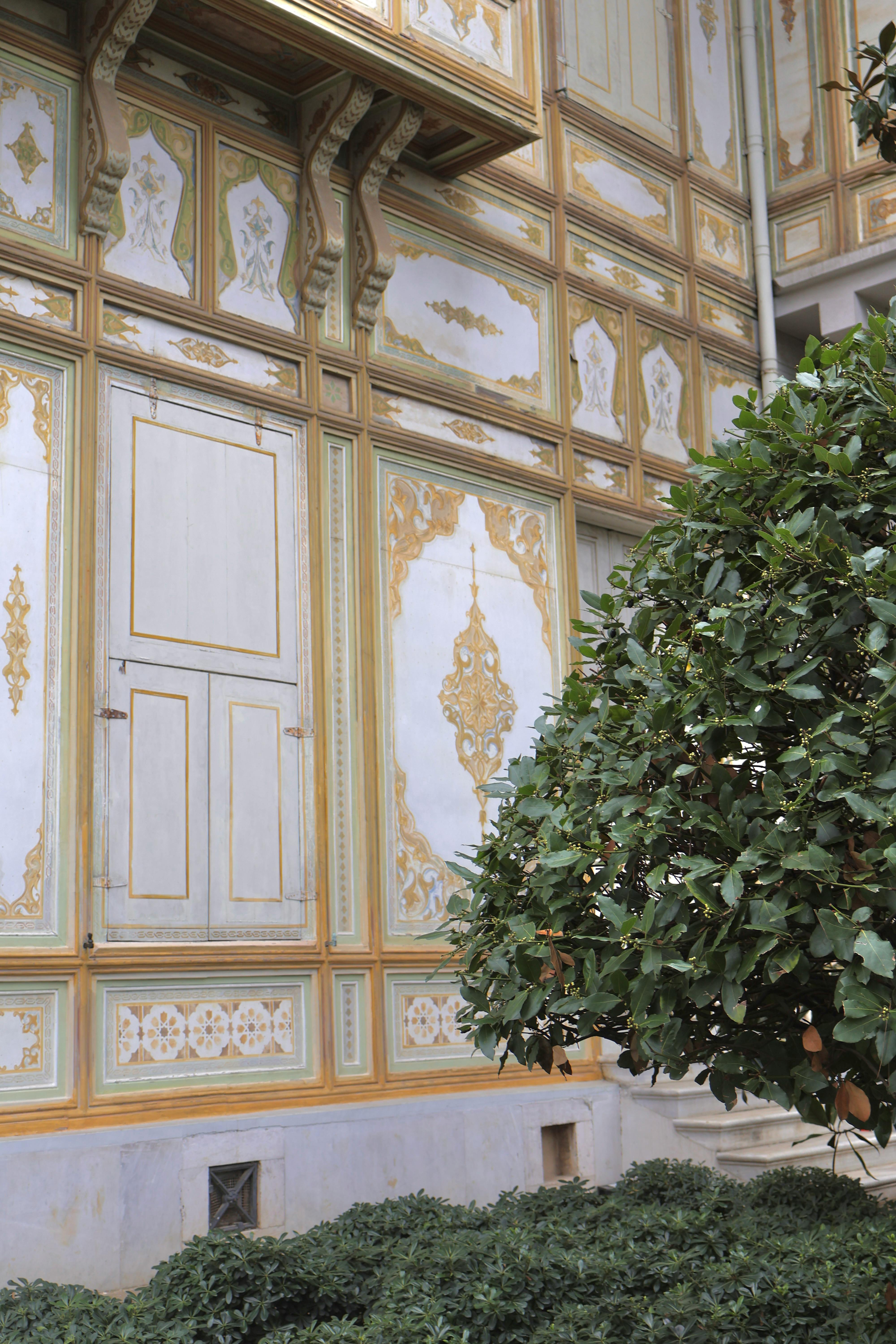 Gratuit Perete elegant ornamentat, cu modele detaliate și verdeață luxuriantă în prim-plan. Fotografie de stoc