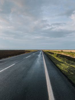 A straight, wet road extends towards the horizon under a cloudy sky, showcasing serenity and travel.