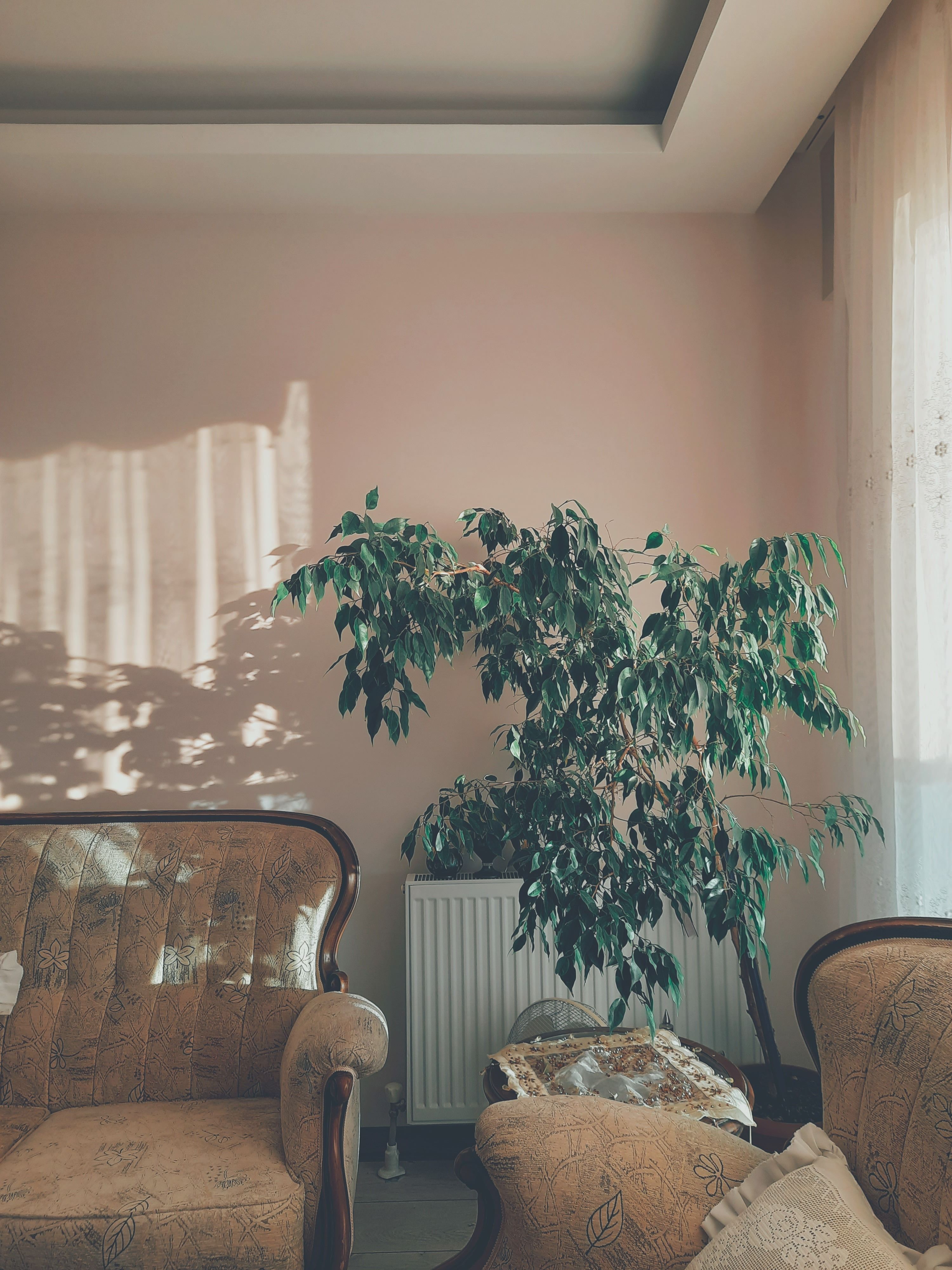 Tendances déco 2024 - illustration