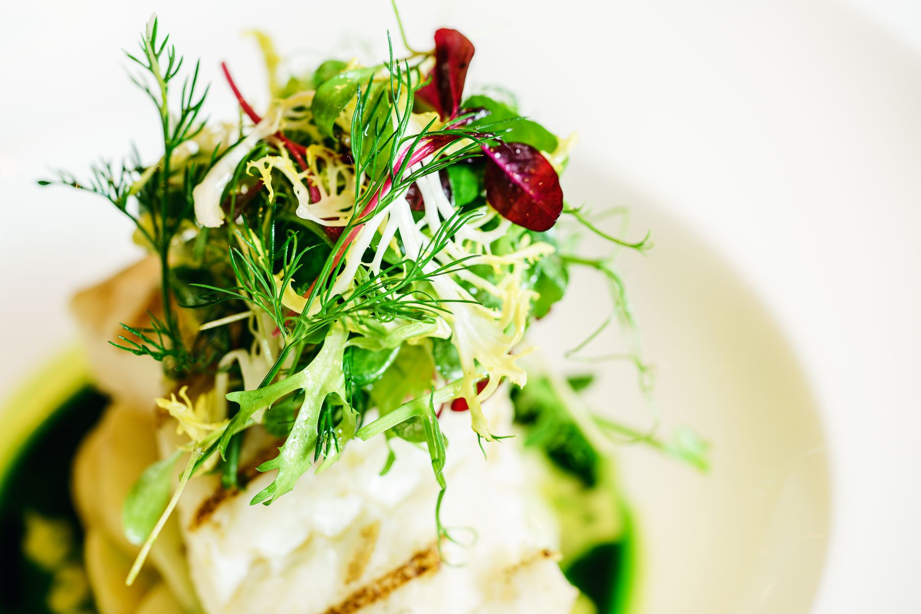 How GLP-1 Appetite Suppression Is Rewriting the Rules of Restaurant Economics