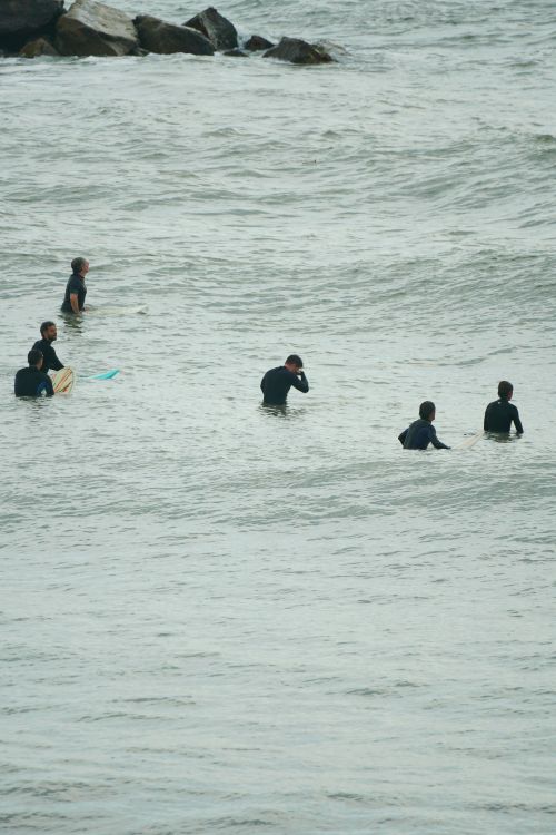 Free A group of surfers waiting patiently in the ocean off Mar del Plata, Argentina. Stock Photo