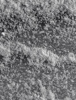 Black and white close-up of snow texture on flat surface.