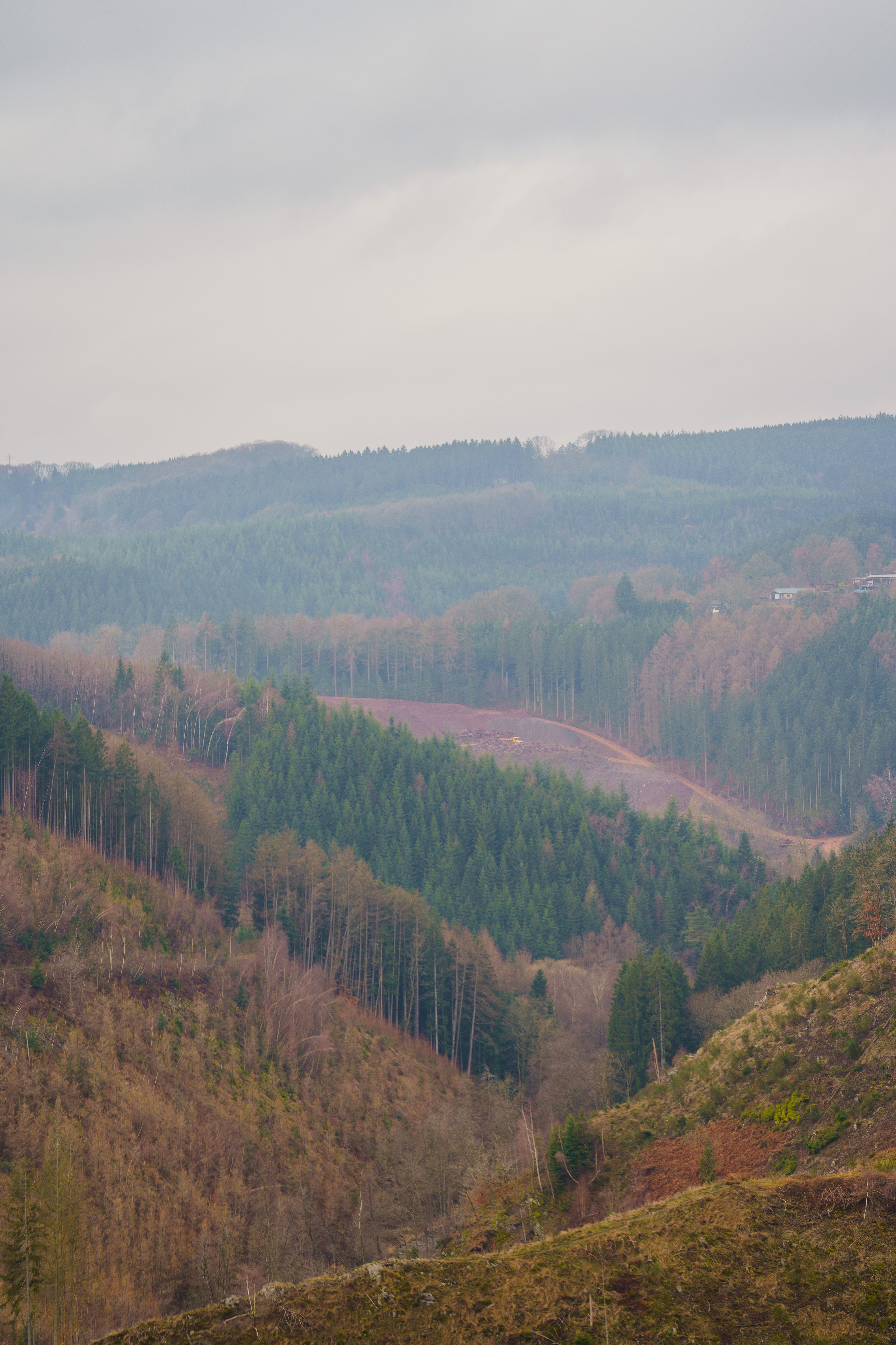 Huis kopen in de Belgische Ardennen met uitzicht op bossen en heuvels