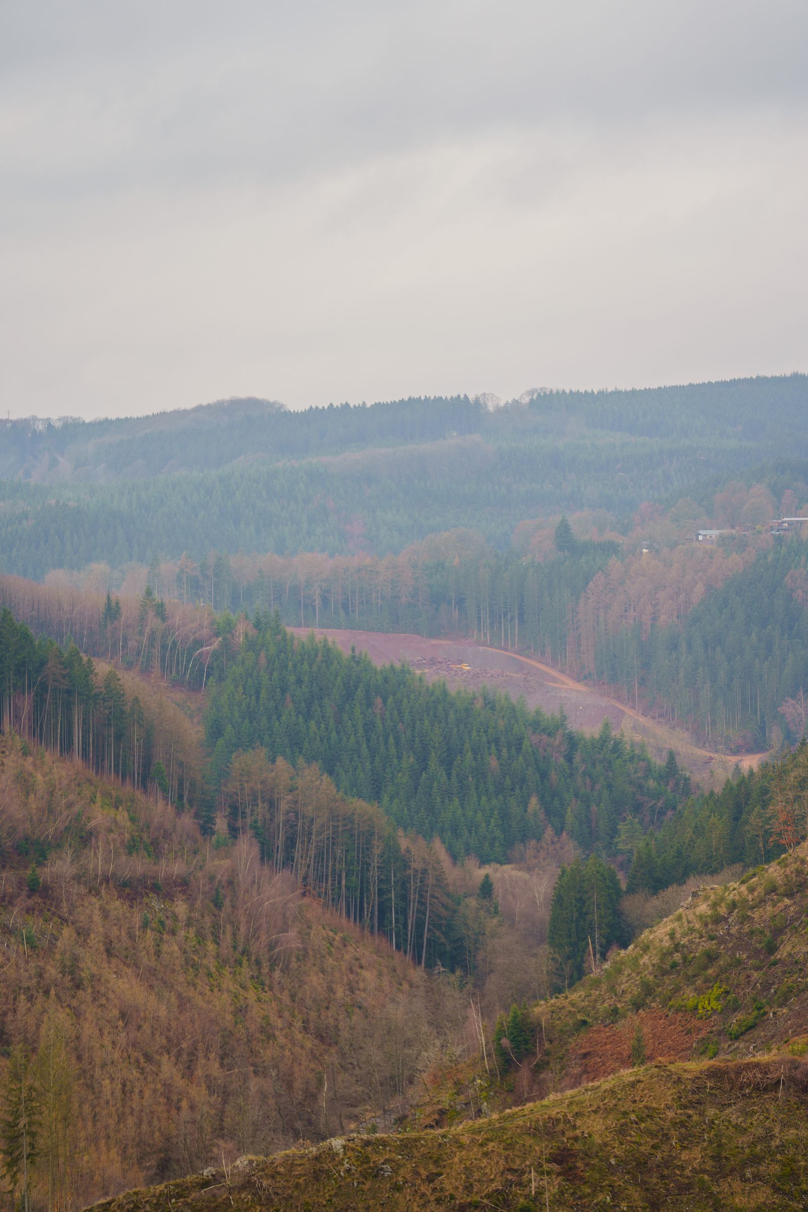 Campagne vallonnée de l’Éislek, à l’ouest du pays — canton de Redange