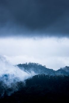 Dark clouds loom over a misty forest, creating a dramatic and moody landscape scene.