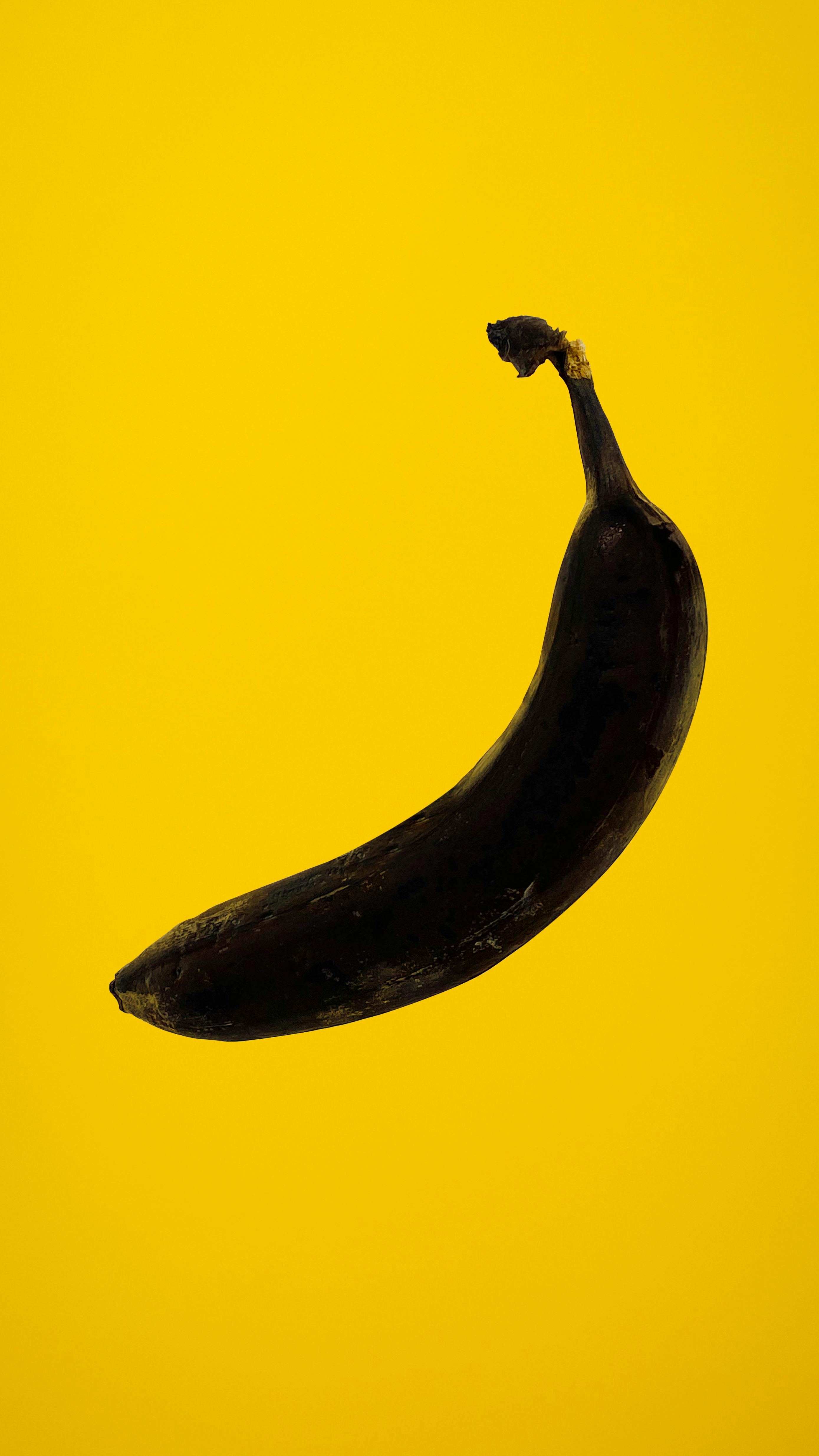 Rotten Banana on Yellow Background · Free Stock Photo