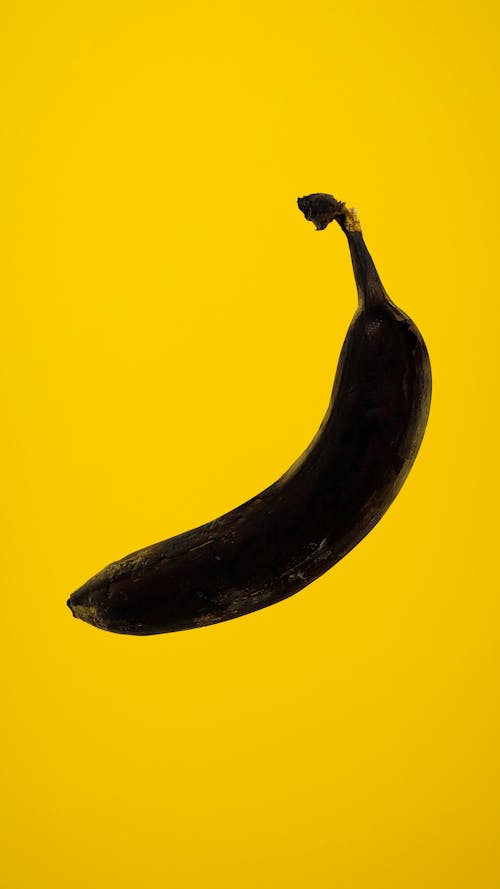 Rotten Banana on Yellow Background