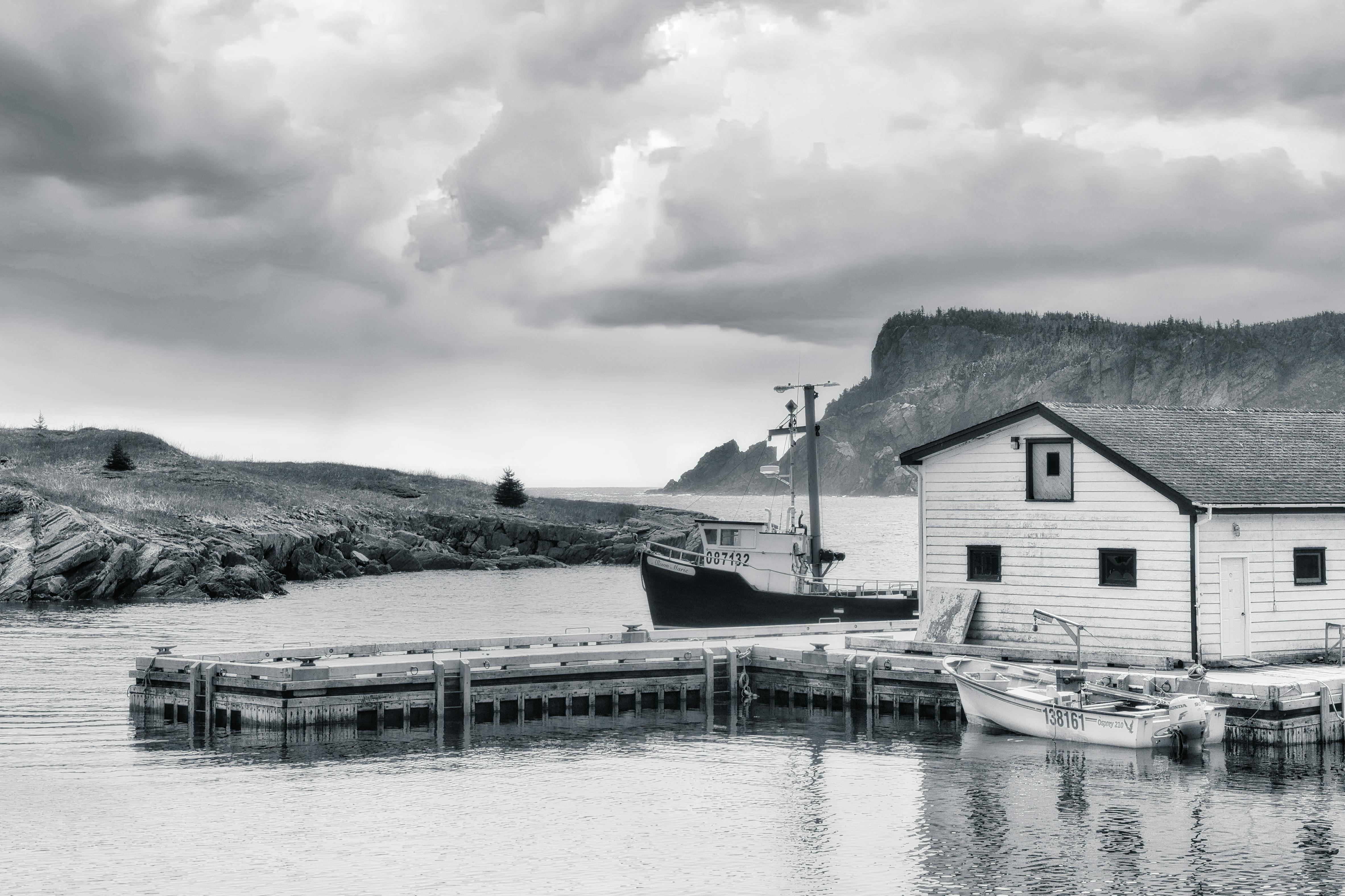 워드프레스 수익 2