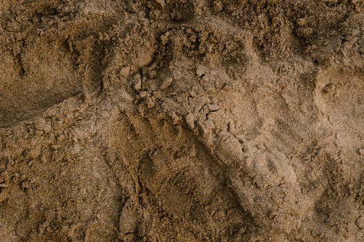 Detailed view of textured beach sand in Mar del Plata, Argentina, perfect for backgrounds.