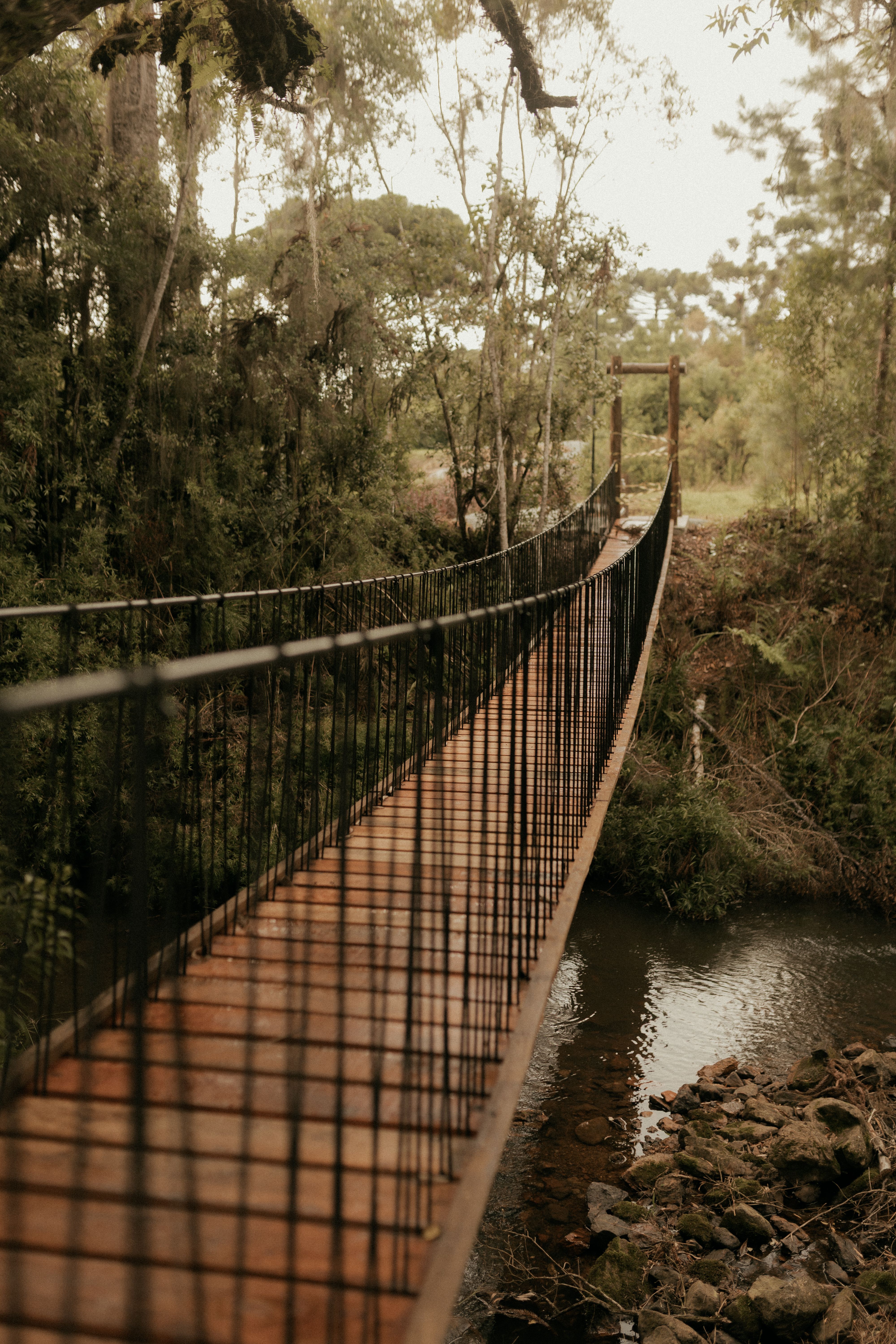 Photo of a Rope Bridge Over the River · Free Stock Photo
