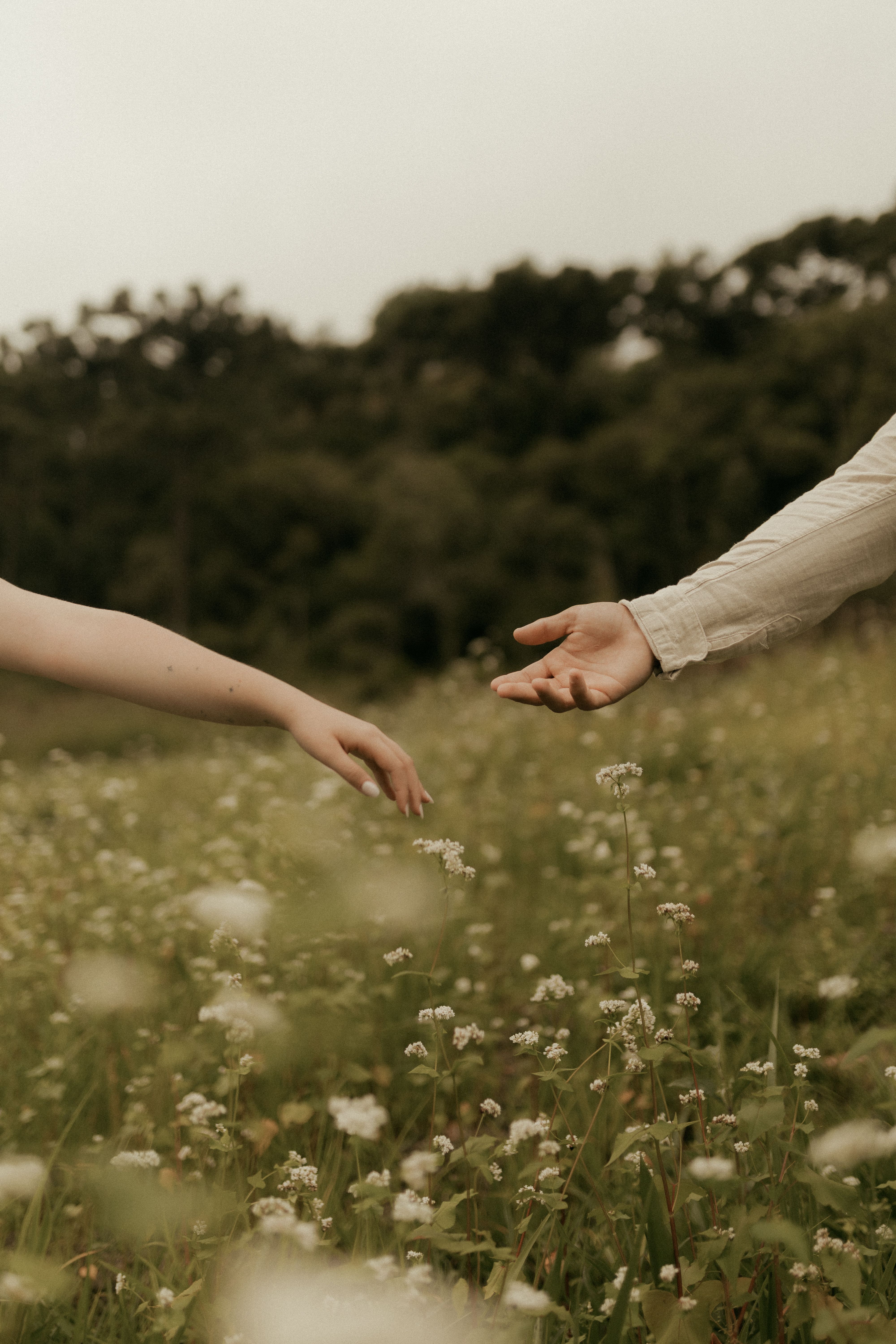 Two Hands Reaching Across a Field in Nature · Free Stock Photo