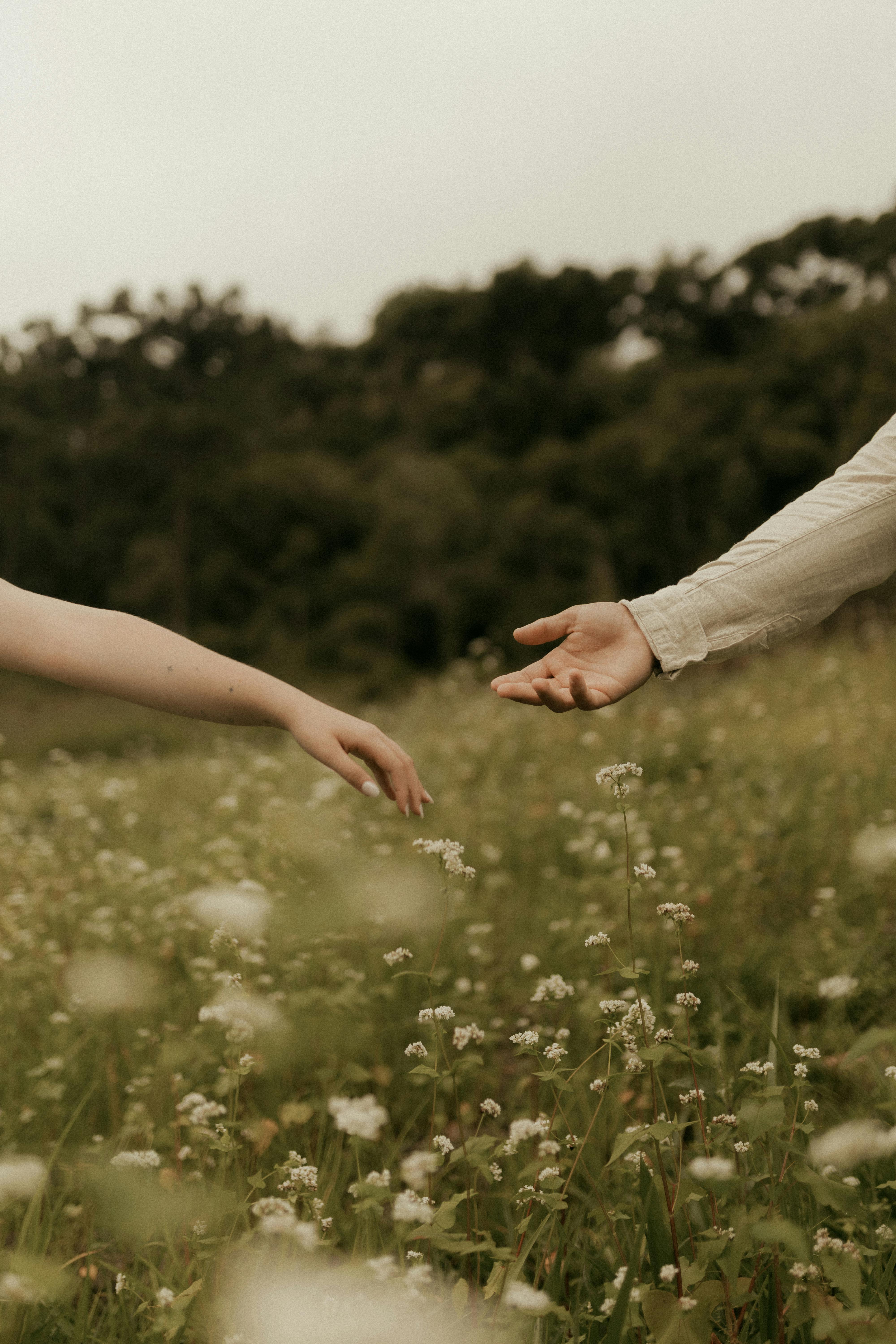 Free Hands reaching across a serene meadow in a gesture of connection, surrounded by wildflowers. Stock Photo