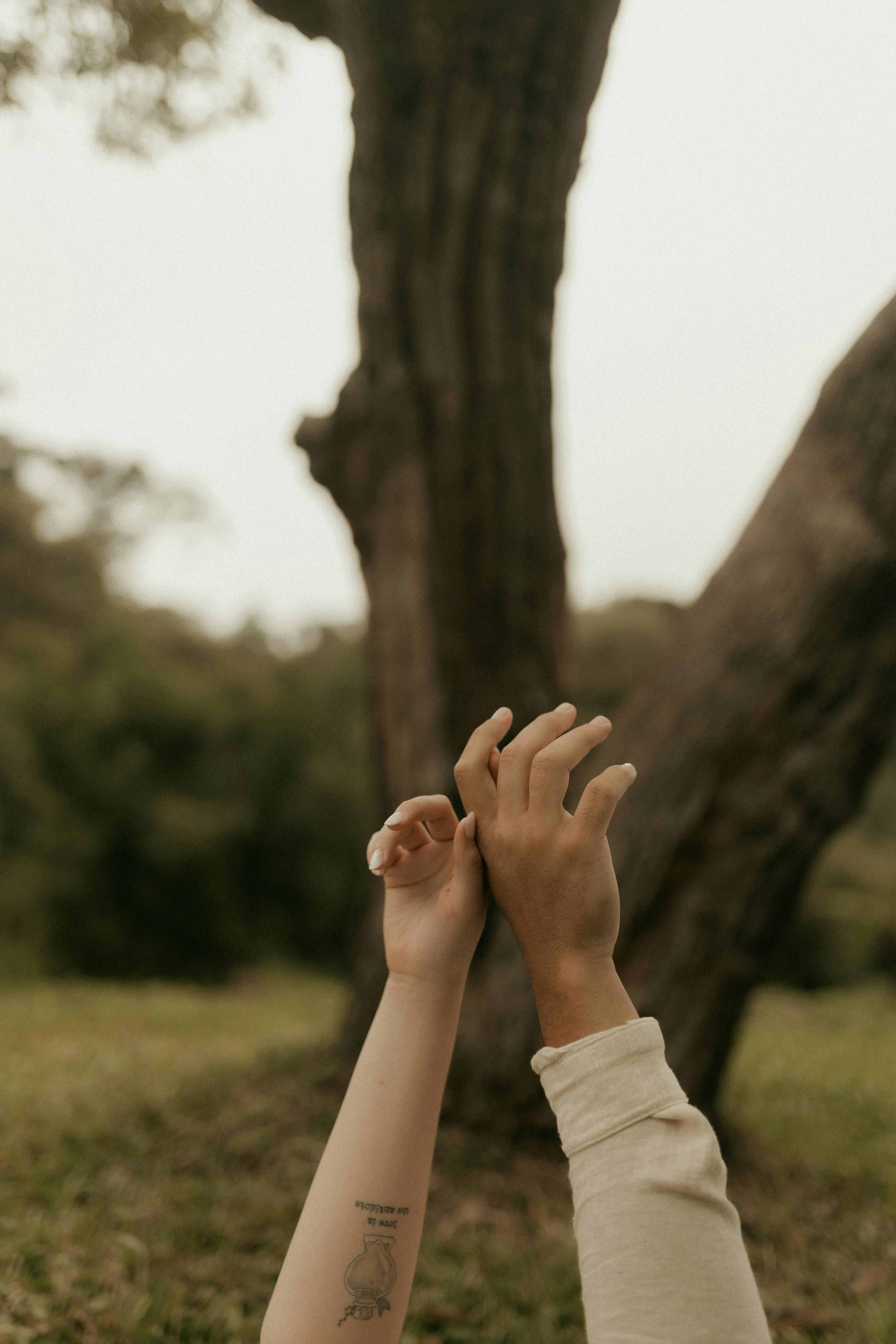 Free Two hands reach upwards against a natural backdrop of tree and greenery, conveying hope and connection. Stock Photo