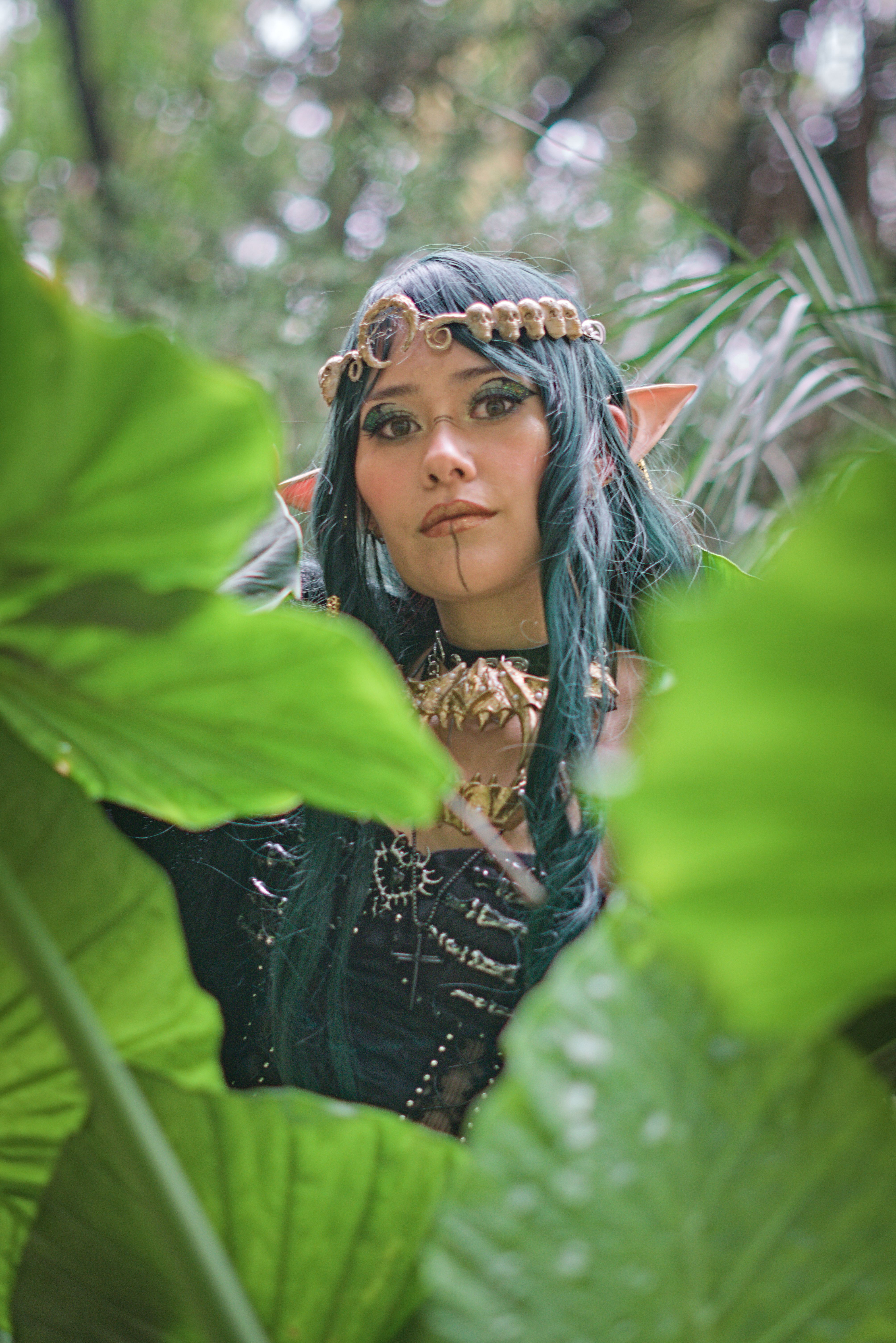 Enchanted Forest Elf in Lush Greenery · Free Stock Photo
