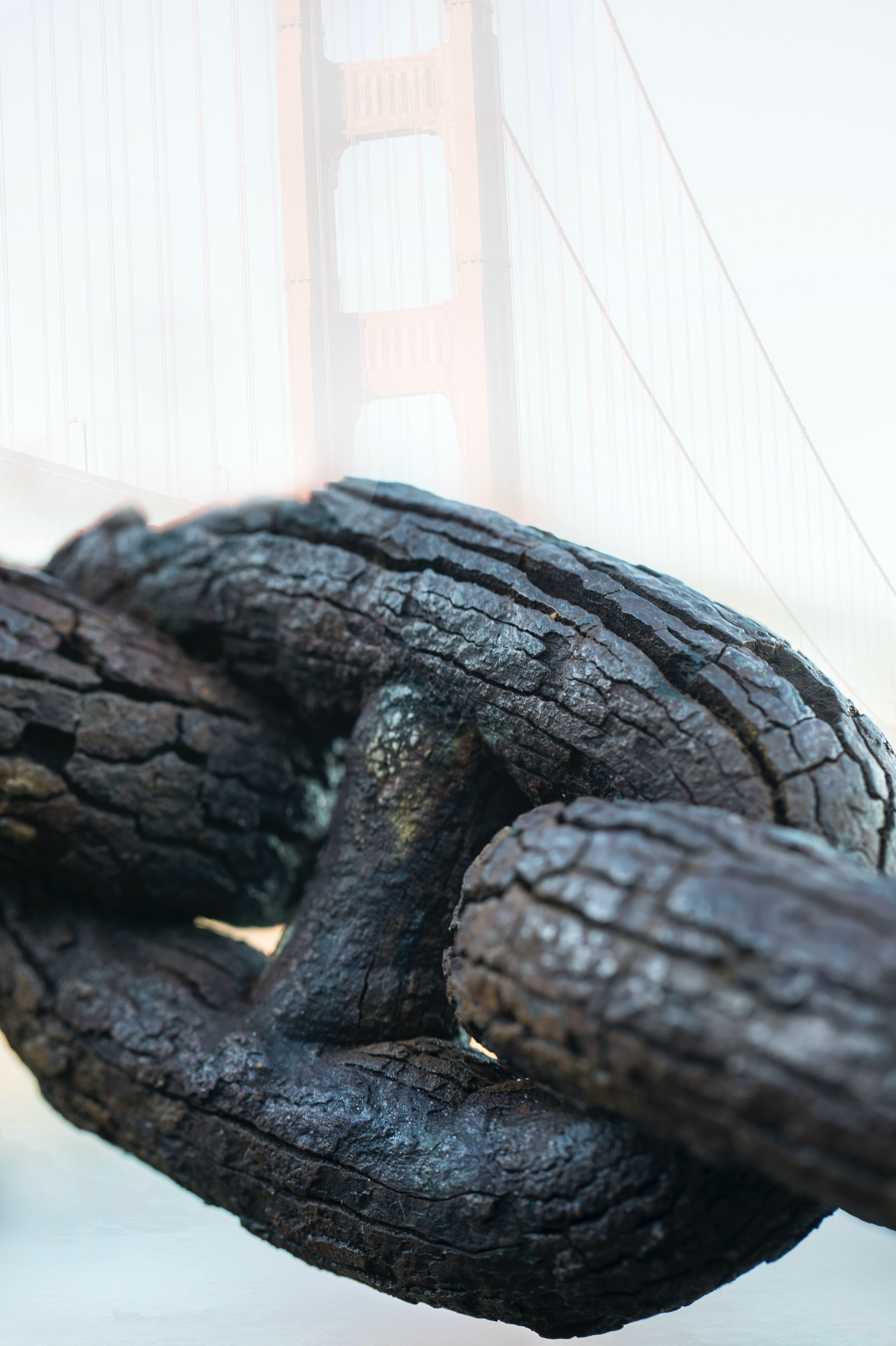 Close-up of a rusted chain with the iconic Golden Gate Bridge blurred in the background.