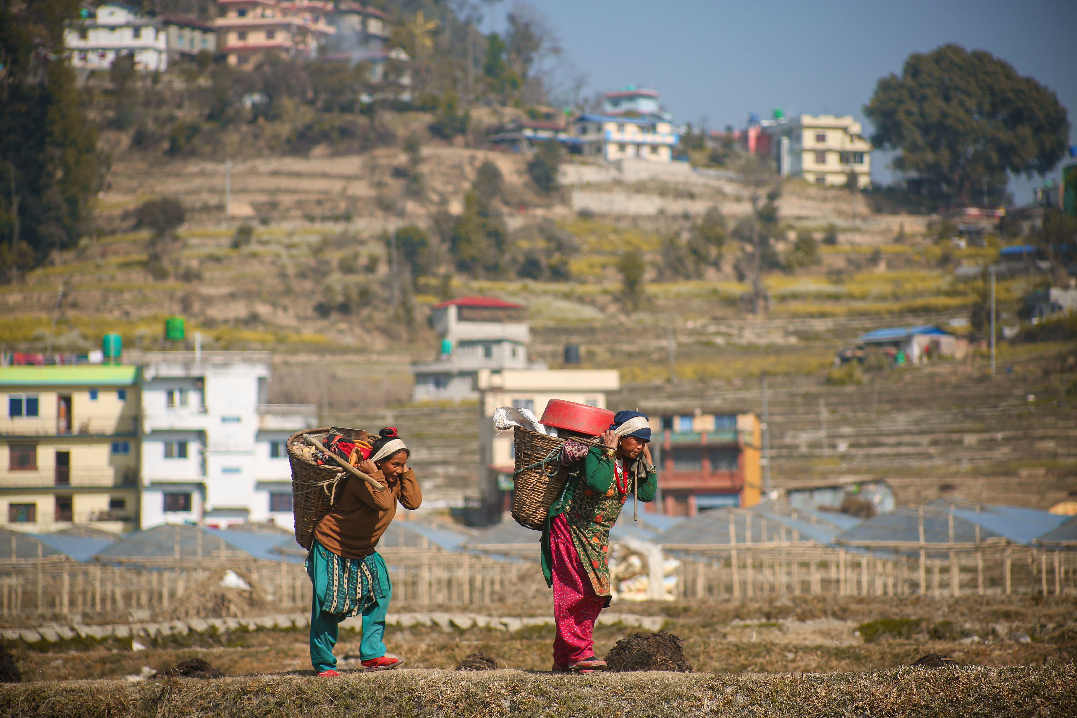Rural Nepal women carrying baskets in the field · Free Stock Photo