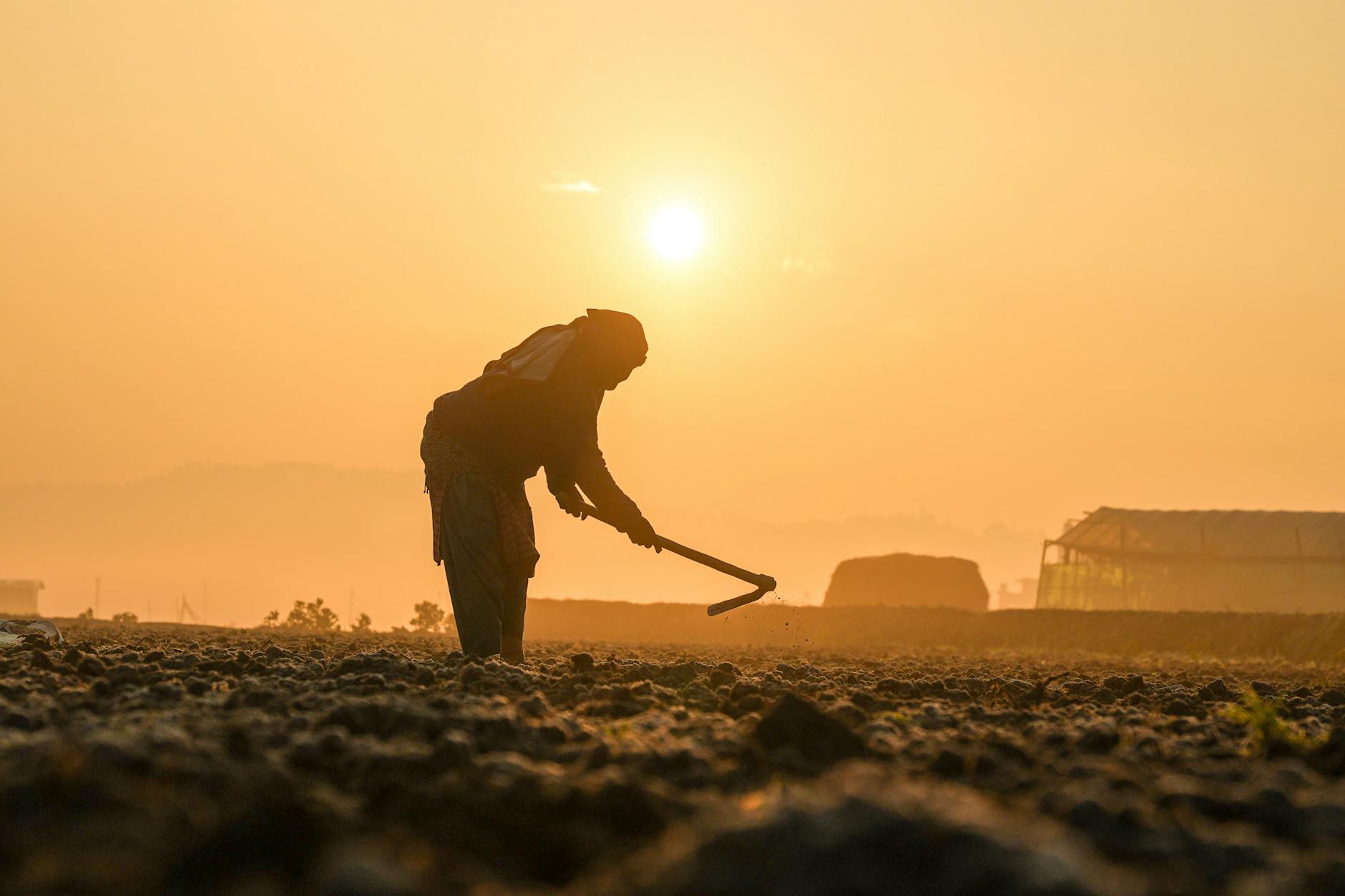 Trump zapowiada farm bill i dopłaty dla rolników
