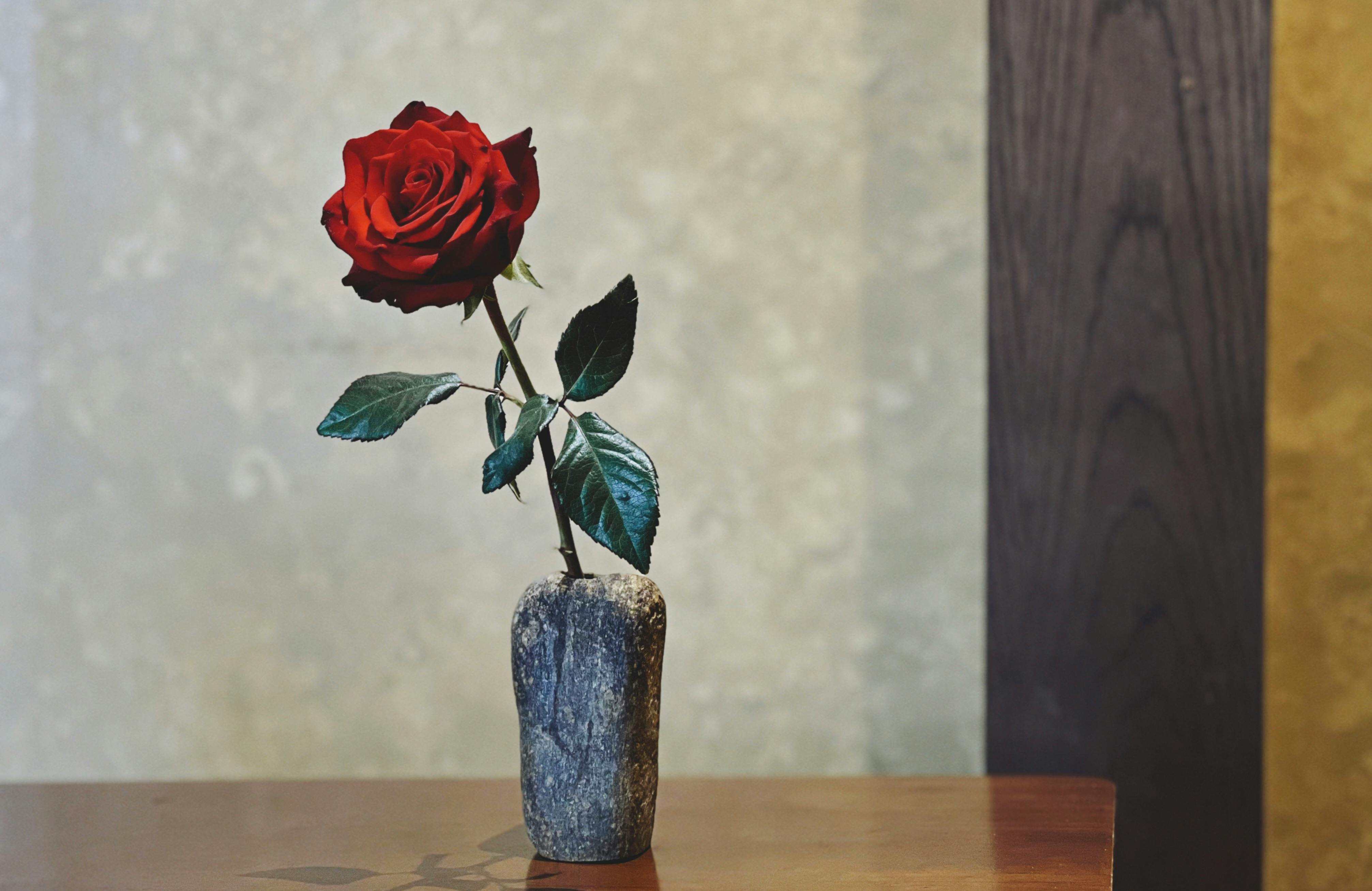 Gratis Una singola rosa rossa elegantemente disposta in un vaso di pietra su un tavolo di legno. Foto a disposizione