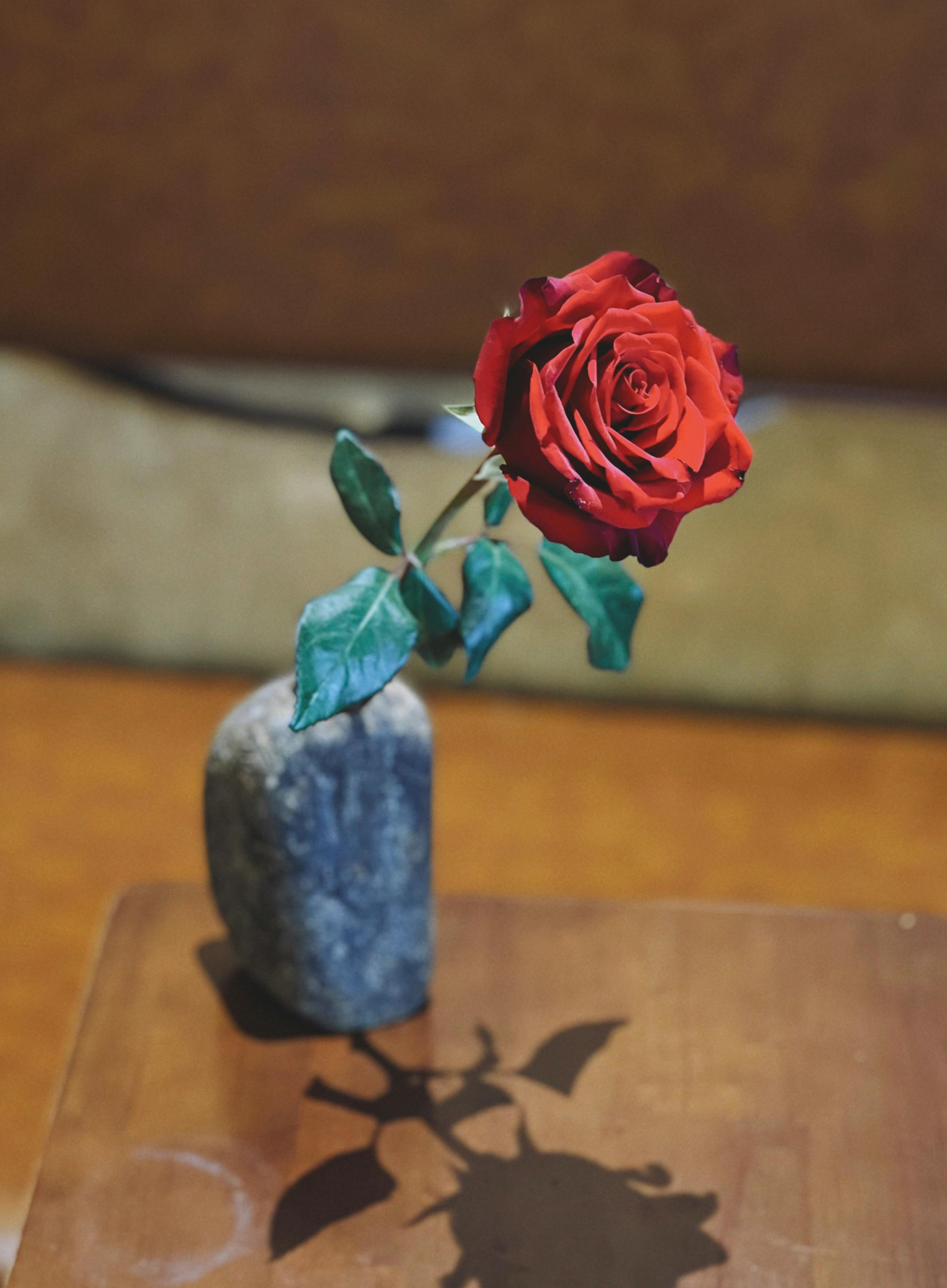 Gratis Mawar merah elegan dalam vas batu unik yang diletakkan di atas permukaan kayu, menampilkan keindahan dan kesederhanaan alami. Foto Stok