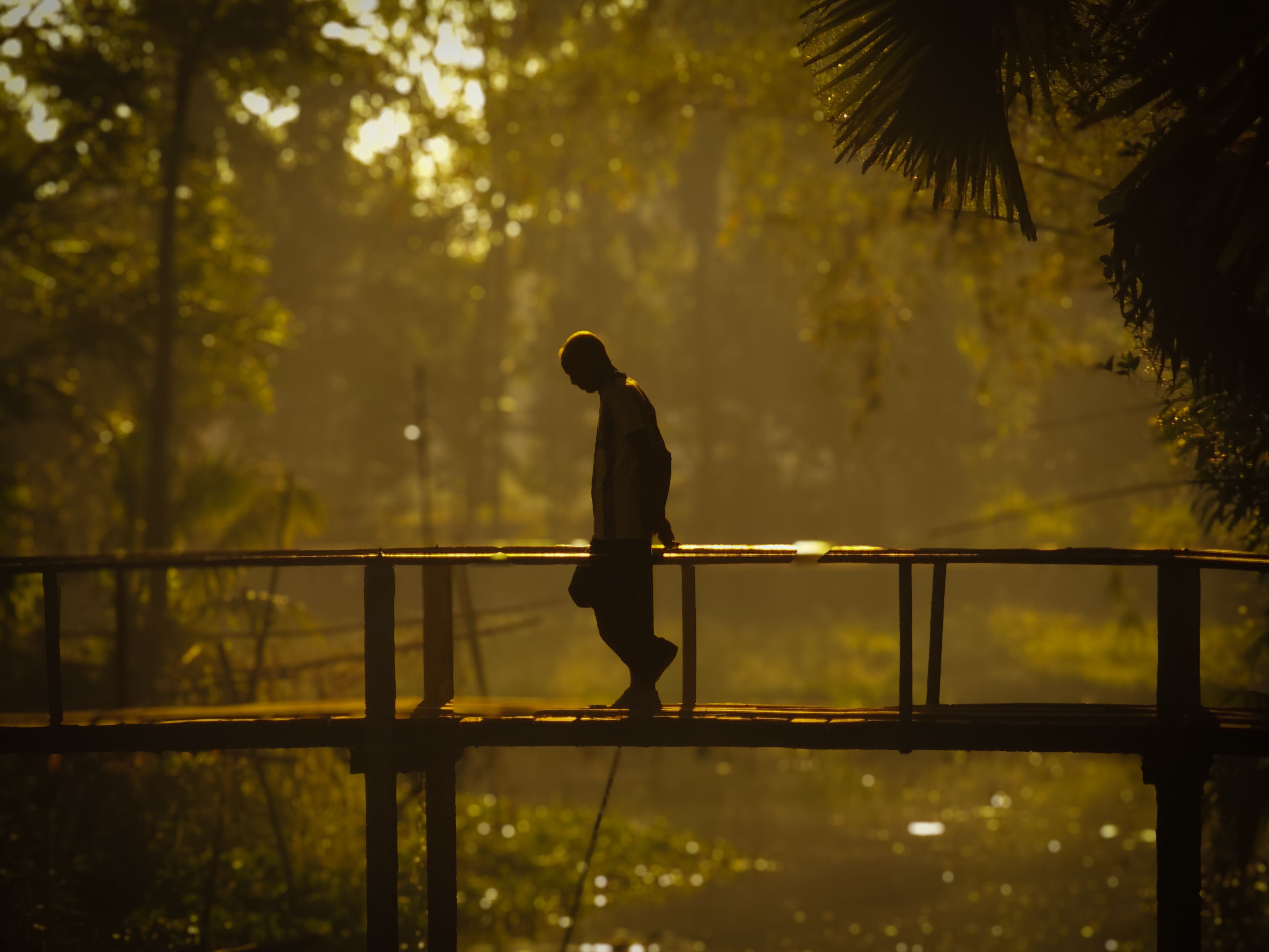 Silhouette of Man Walking on Wooden Bridge in Forest · Free Stock Photo