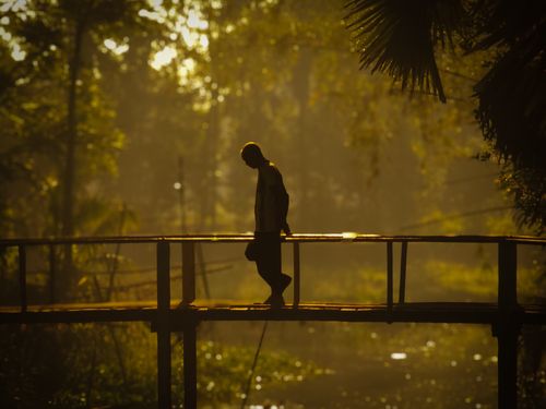 Free A man walks across a wooden bridge in a forest at sunrise, creating a peaceful silhouette. Stock Photo